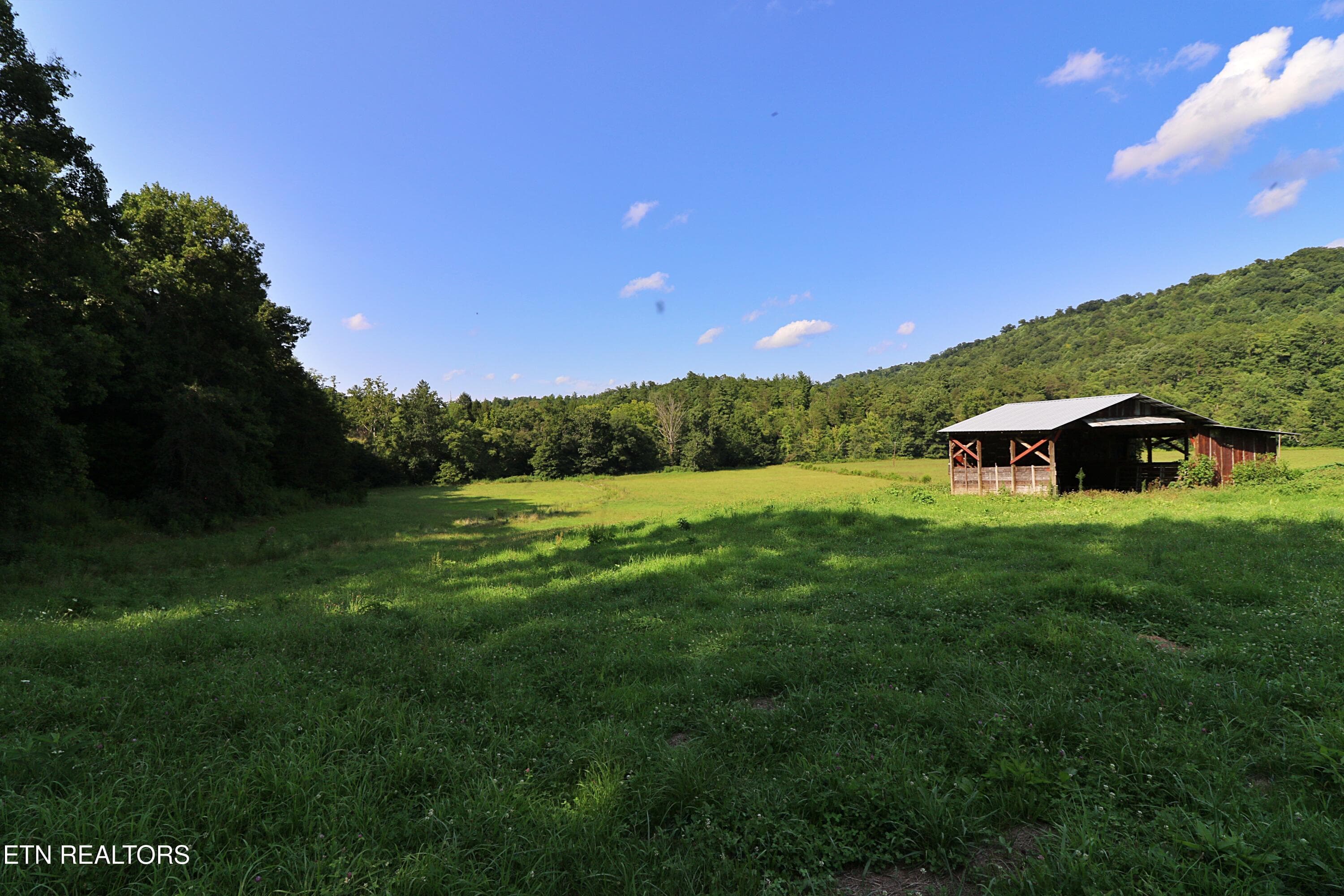 094A4379 - 7914 Brimstone Rd, Robbins, TN 37852