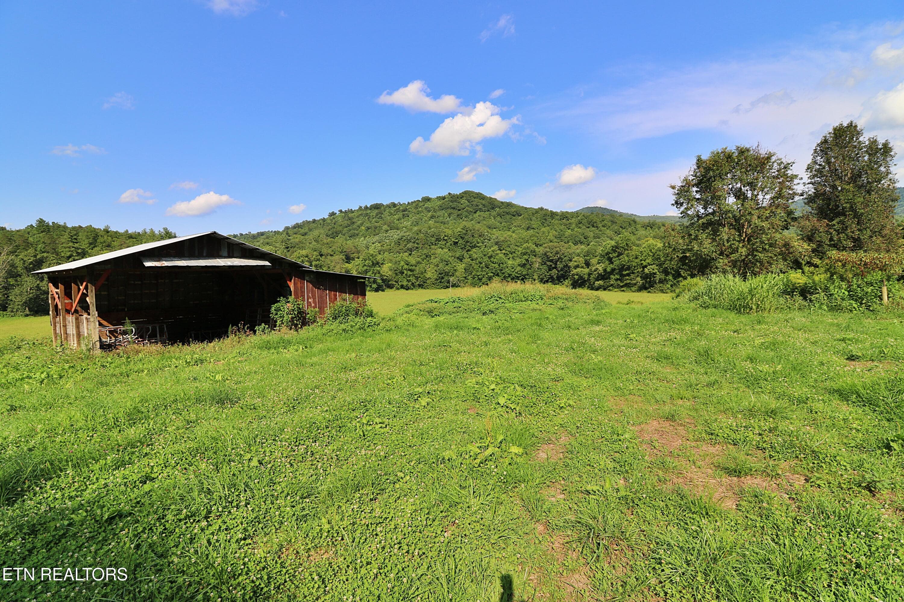 094A4380 - 7914 Brimstone Rd, Robbins, TN 37852