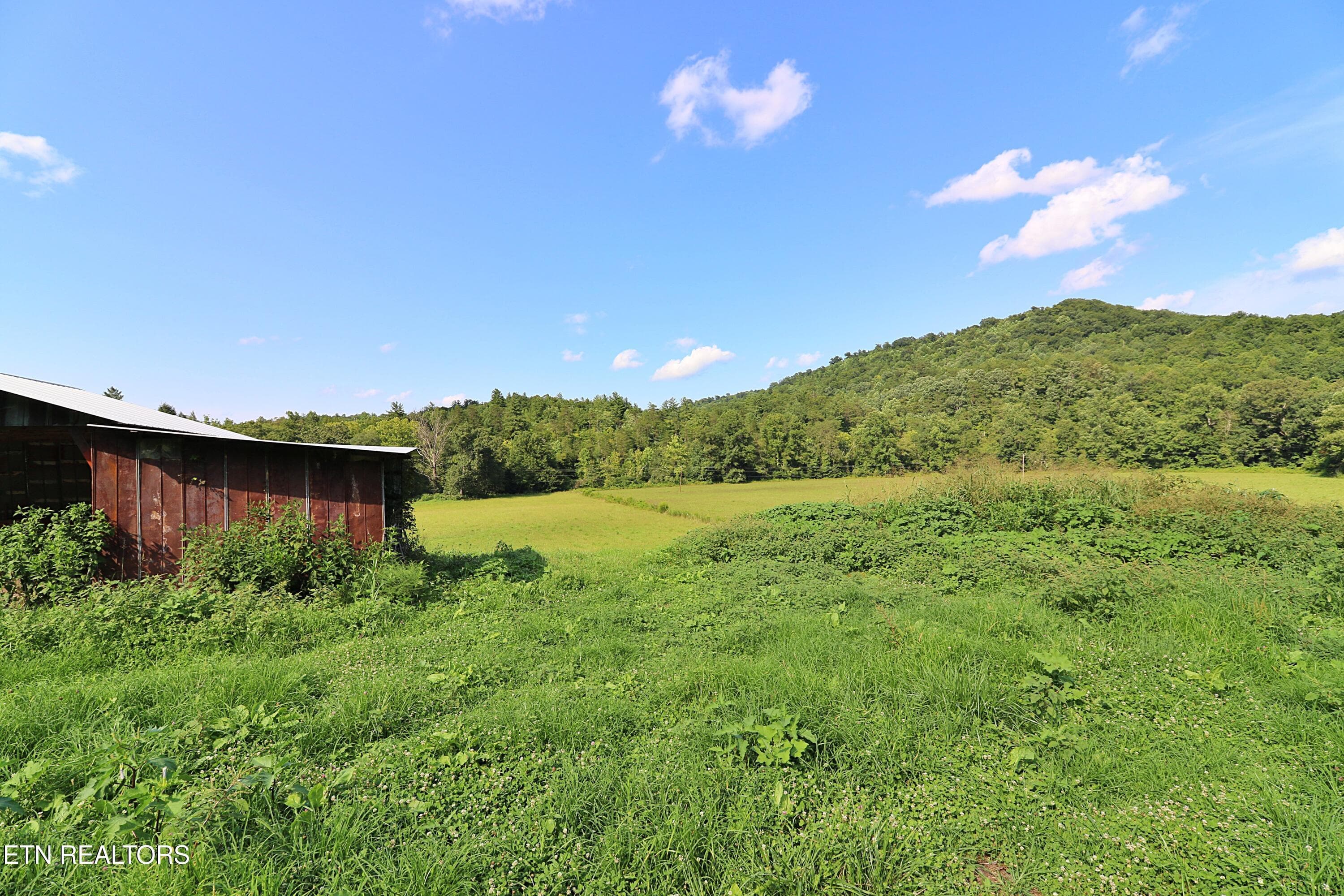 094A4382 - 7914 Brimstone Rd, Robbins, TN 37852