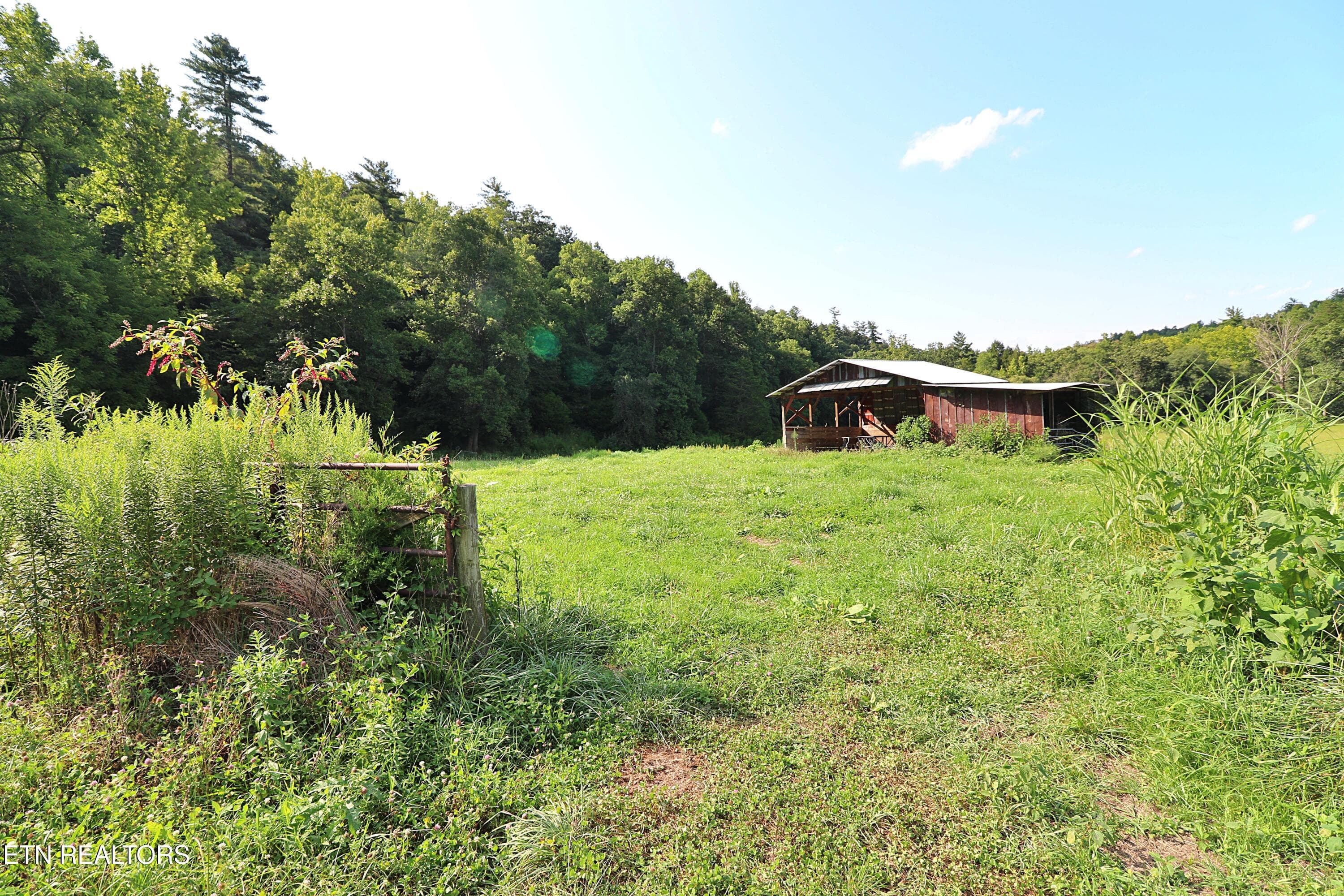 094A4384 - 7914 Brimstone Rd, Robbins, TN 37852