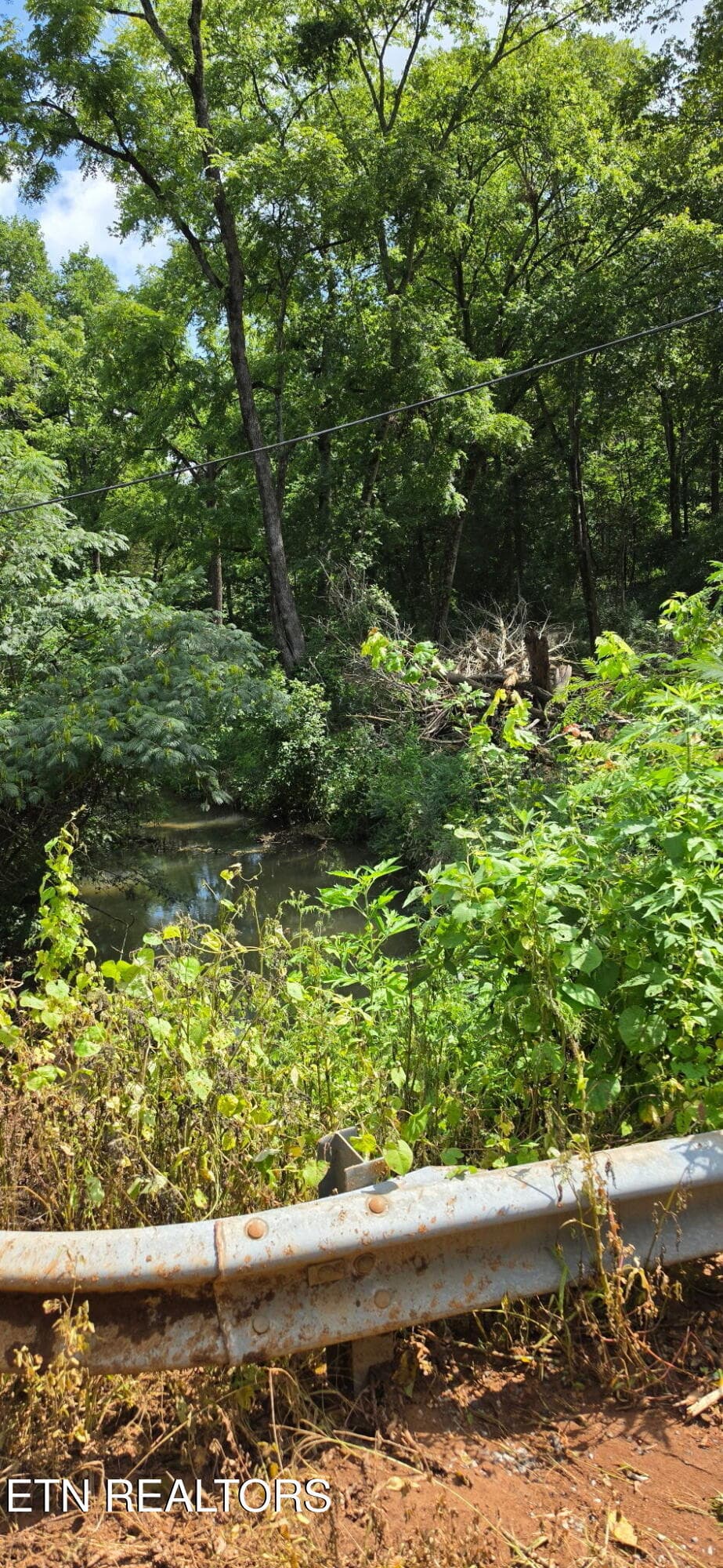 20260818_115128 - County Road 267, Niota, TN 37826