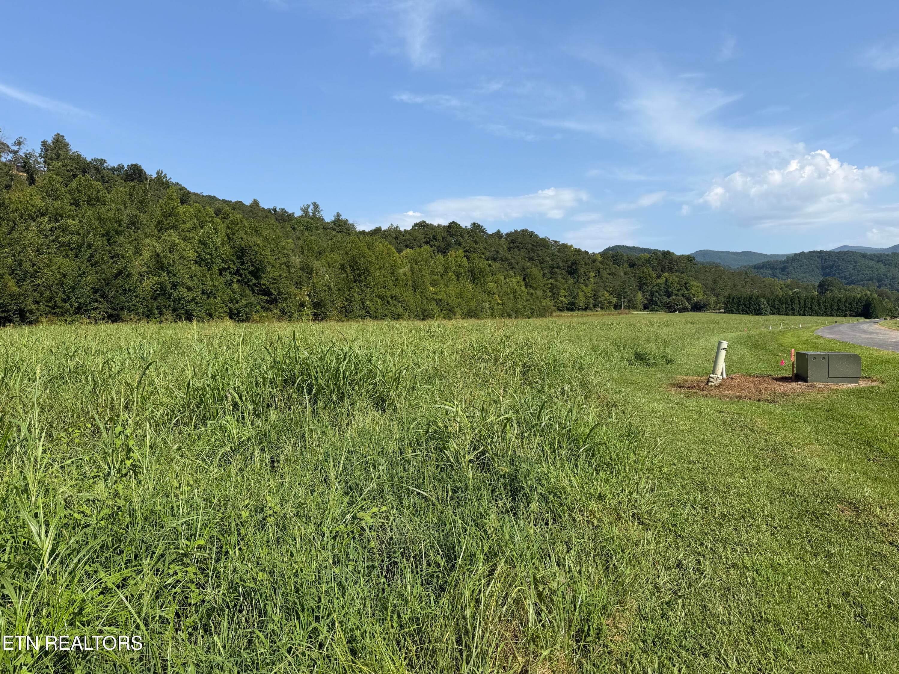 3 Adjoining Properties - Lot 145 River Rapids Way, Del Rio, TN 37727