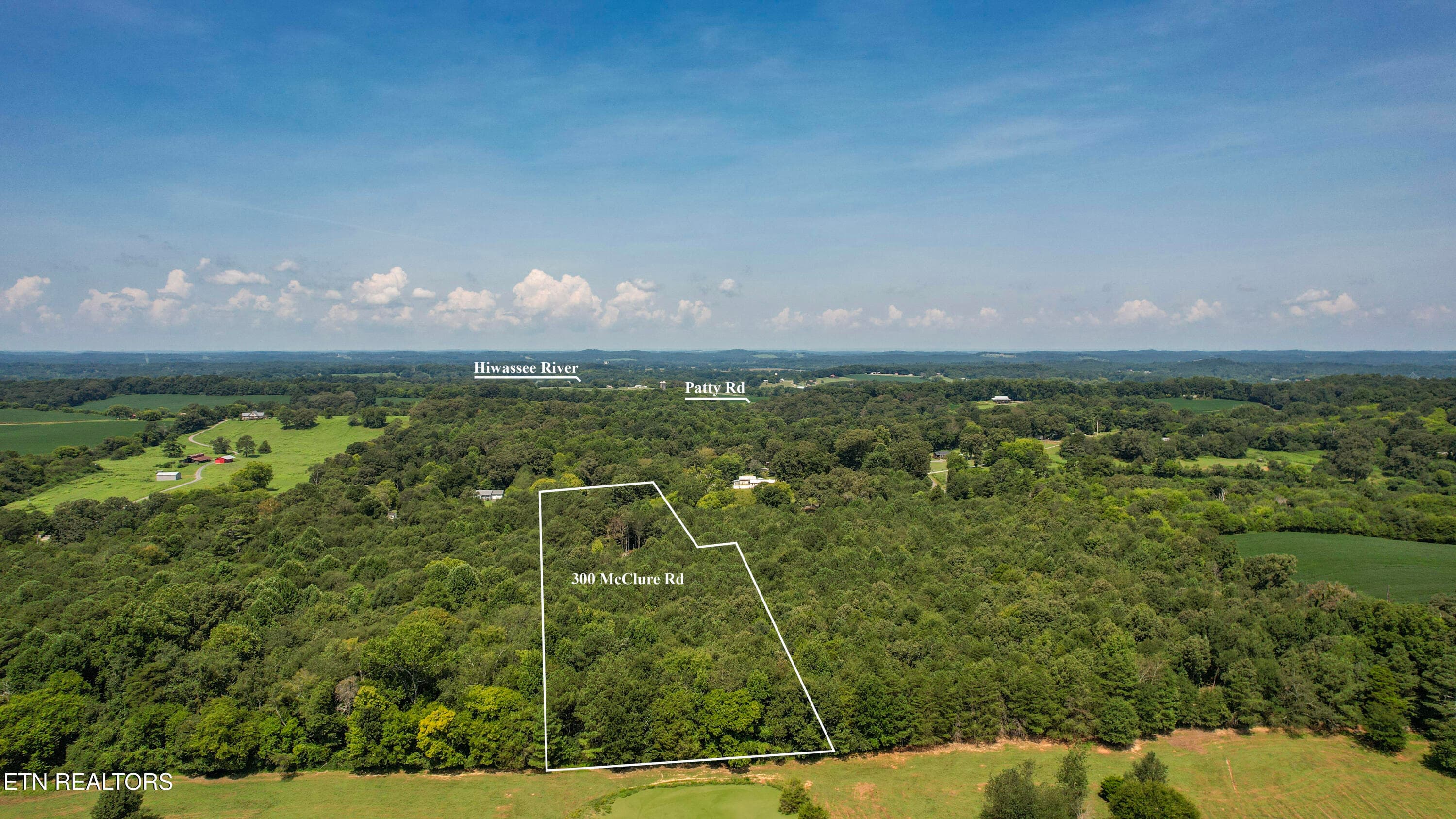 83-DJI_0133-Edit - 300 McClure Rd, Benton, TN 37307