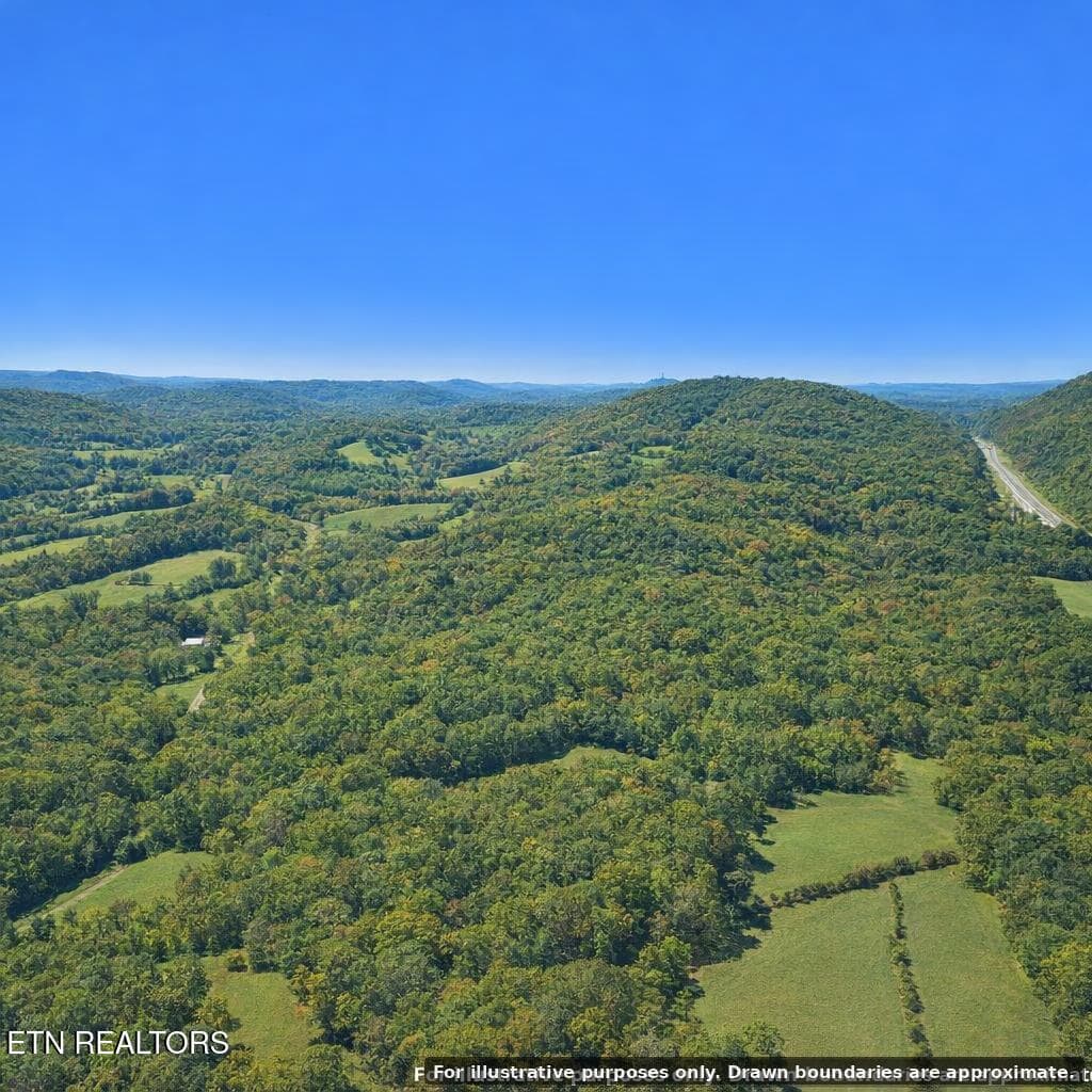 IMG_2325 - Black Oak Ridge Rd, Dayton, TN 37321