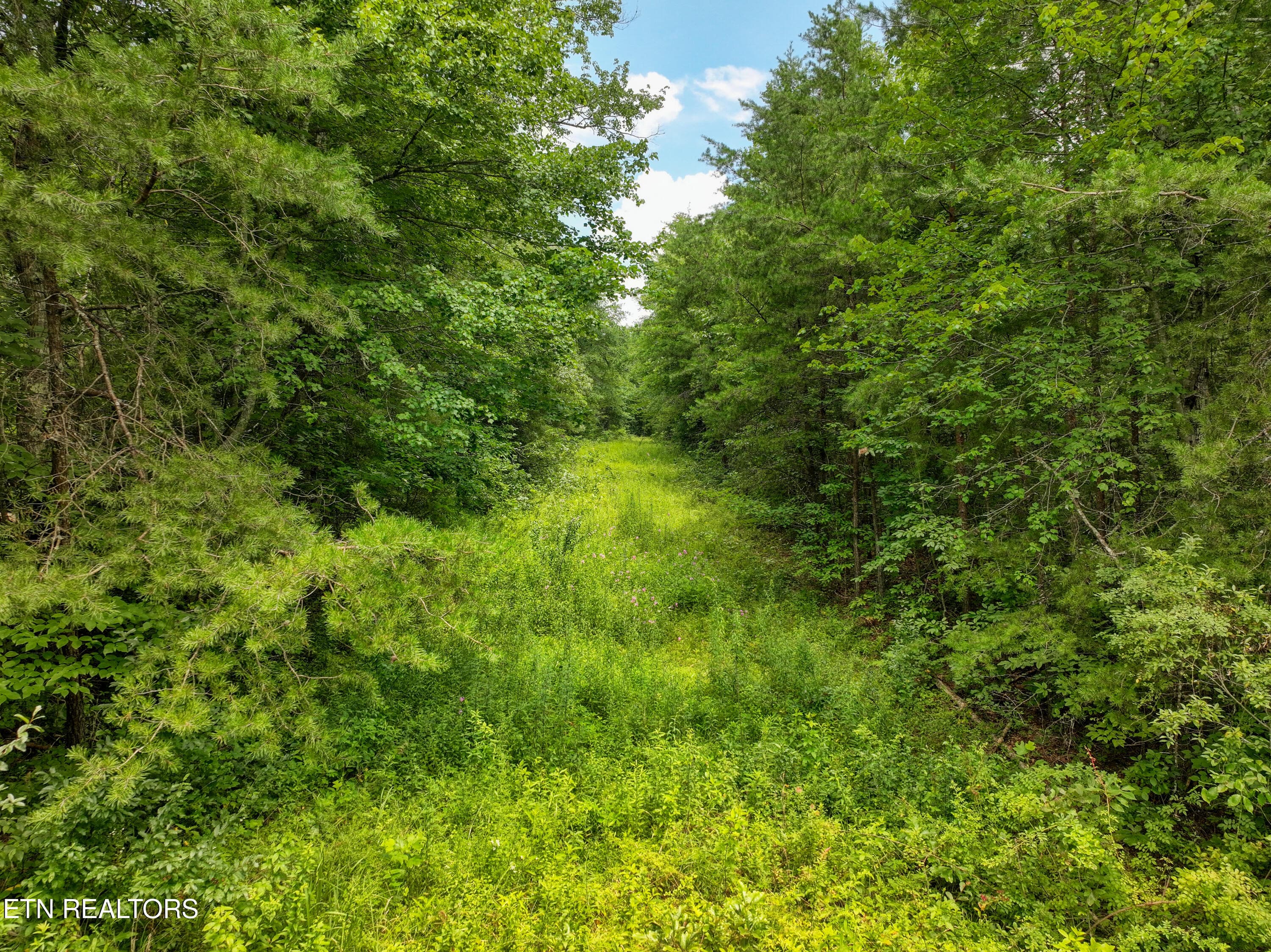 52.88 AC Nashville Hwy, Deer Lodge, TN 37726