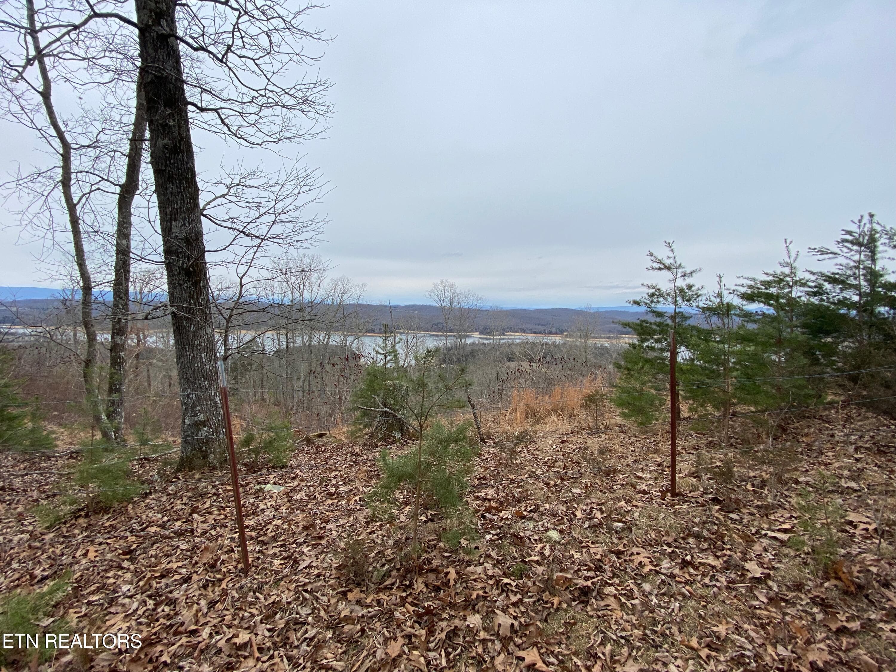 IMG_20260819_133638 - Dark Hollow Rd, Andersonville, TN 37705