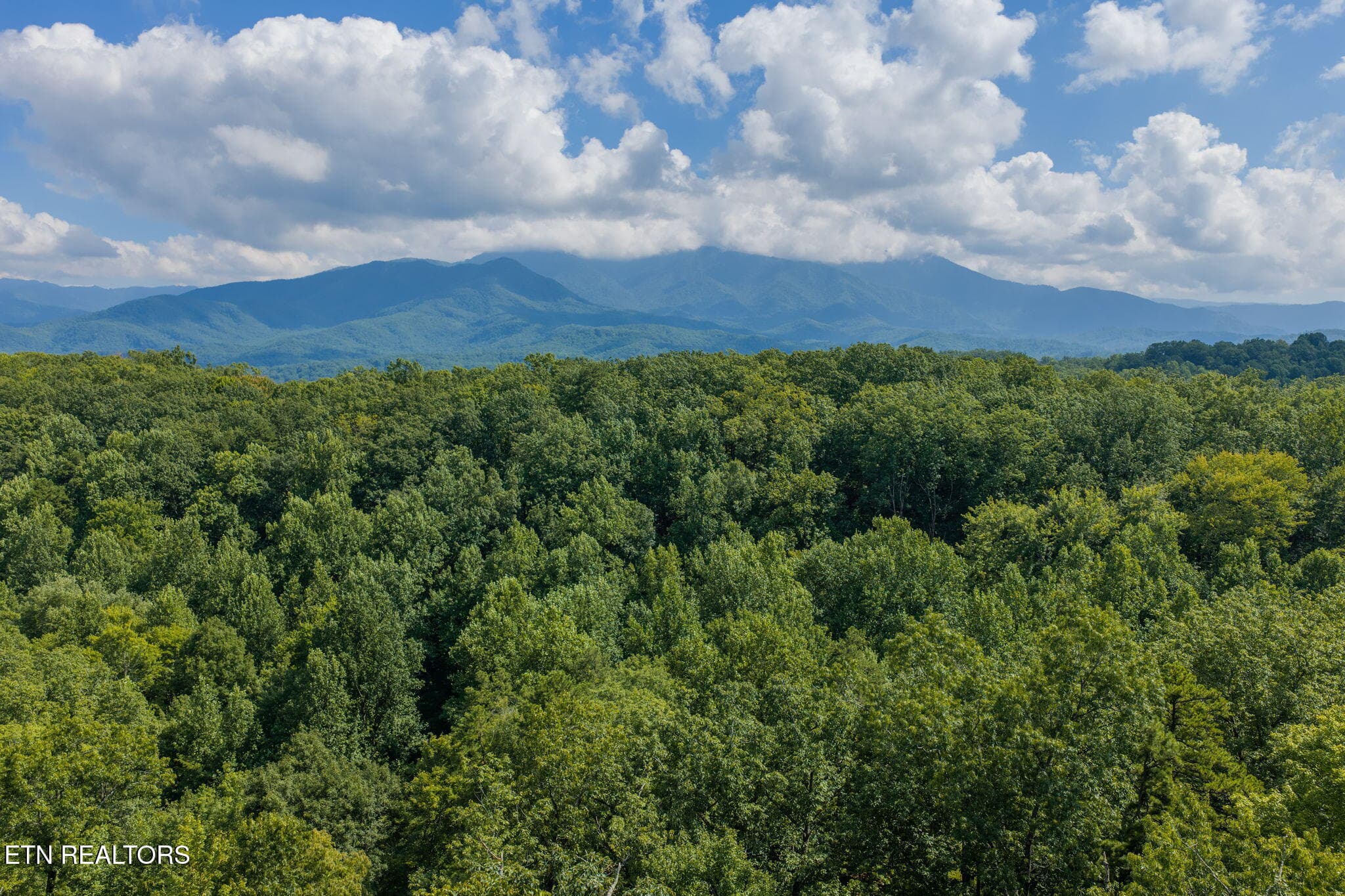 homesandvideos 826-288 - 2053 Settlers Ridge Way, Gatlinburg, TN 37738, Gatlinburg