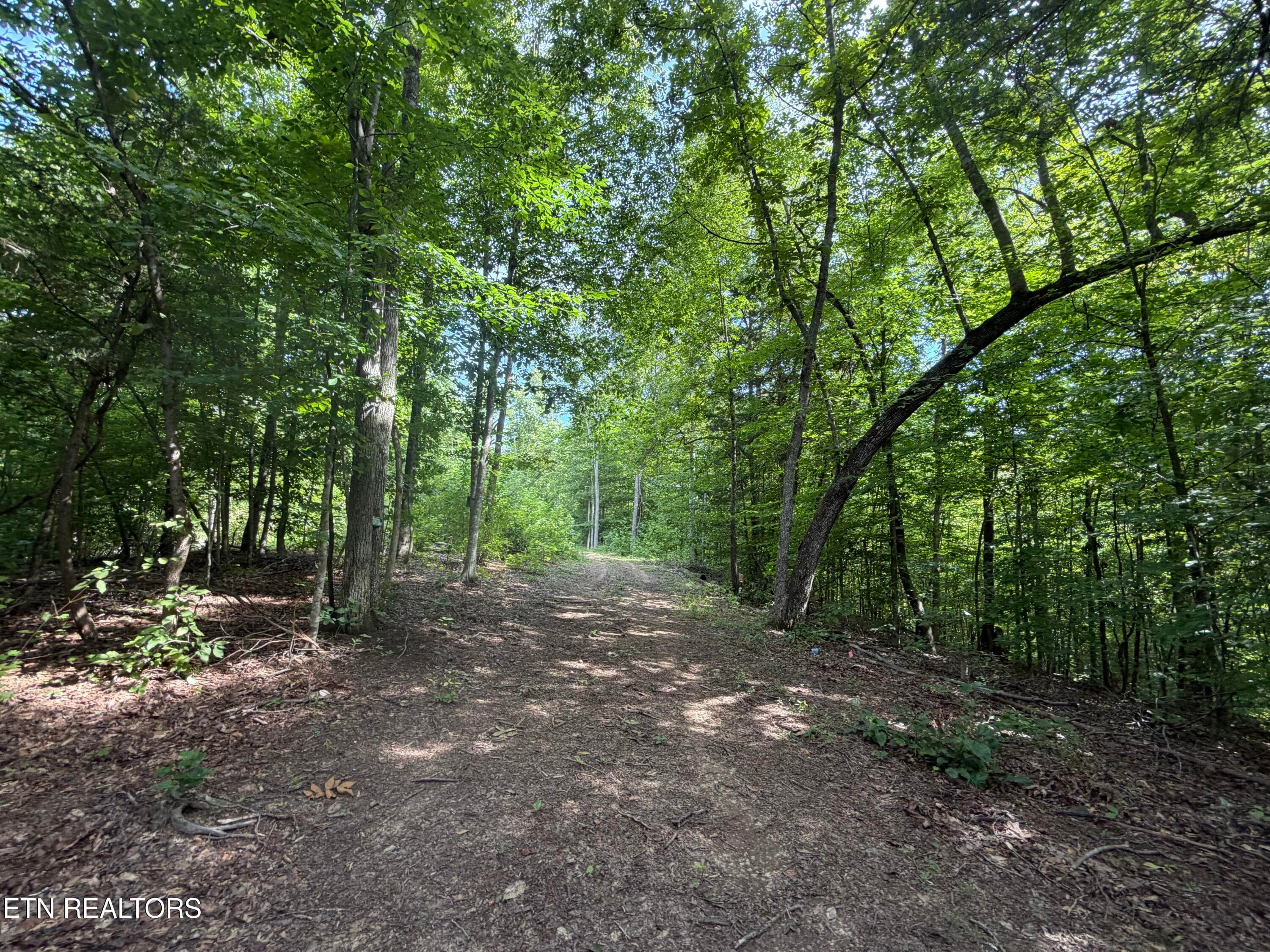IMG_0411 - 2544 Hinds Creek Rd, Heiskell, TN 37754
