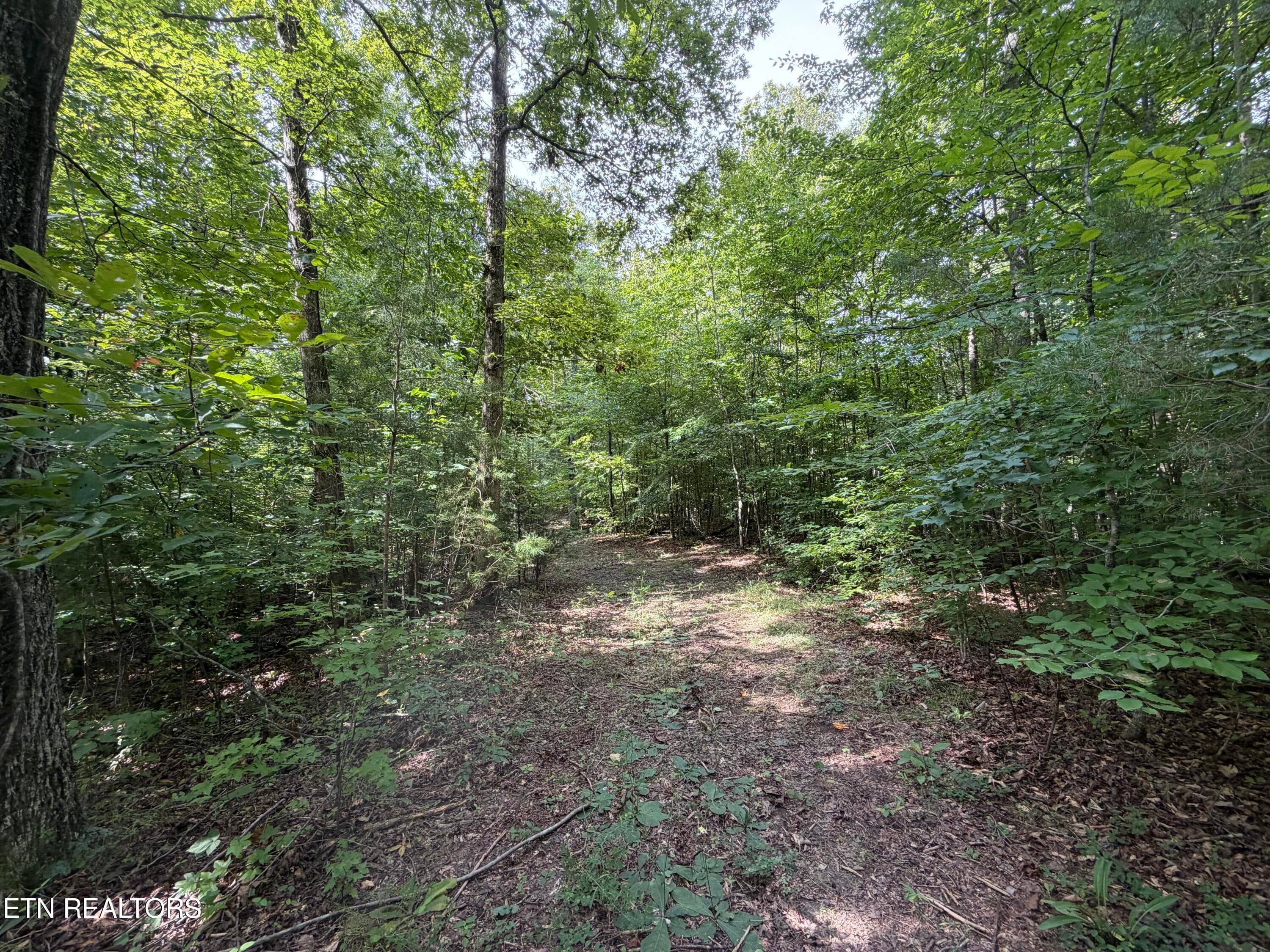 IMG_0438 - 2544 Hinds Creek Rd, Heiskell, TN 37754