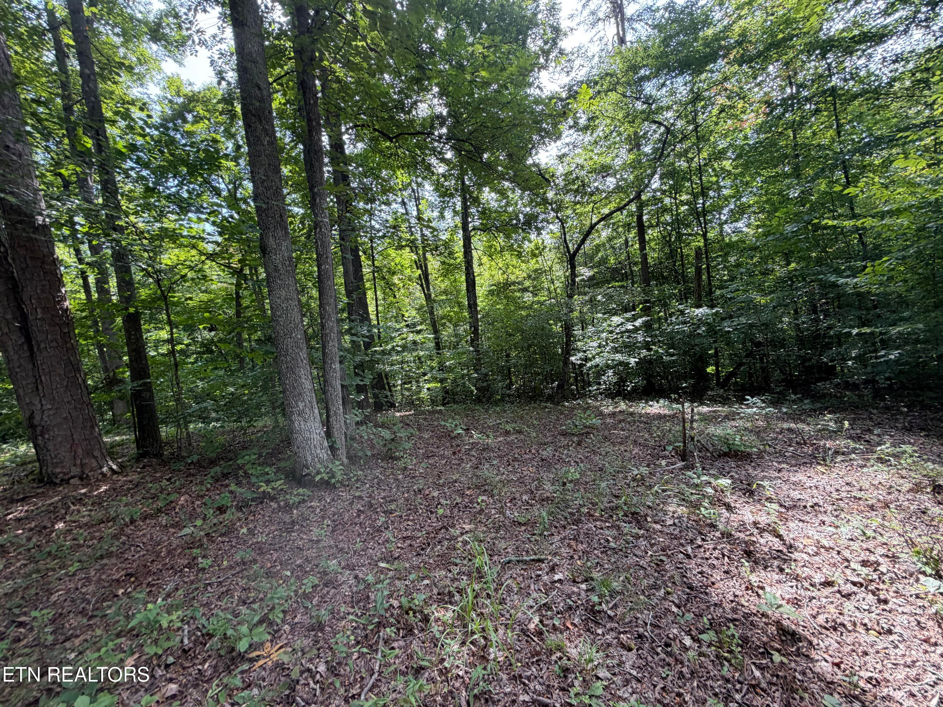 IMG_0435 - 2544 Hinds Creek Rd, Heiskell, TN 37754