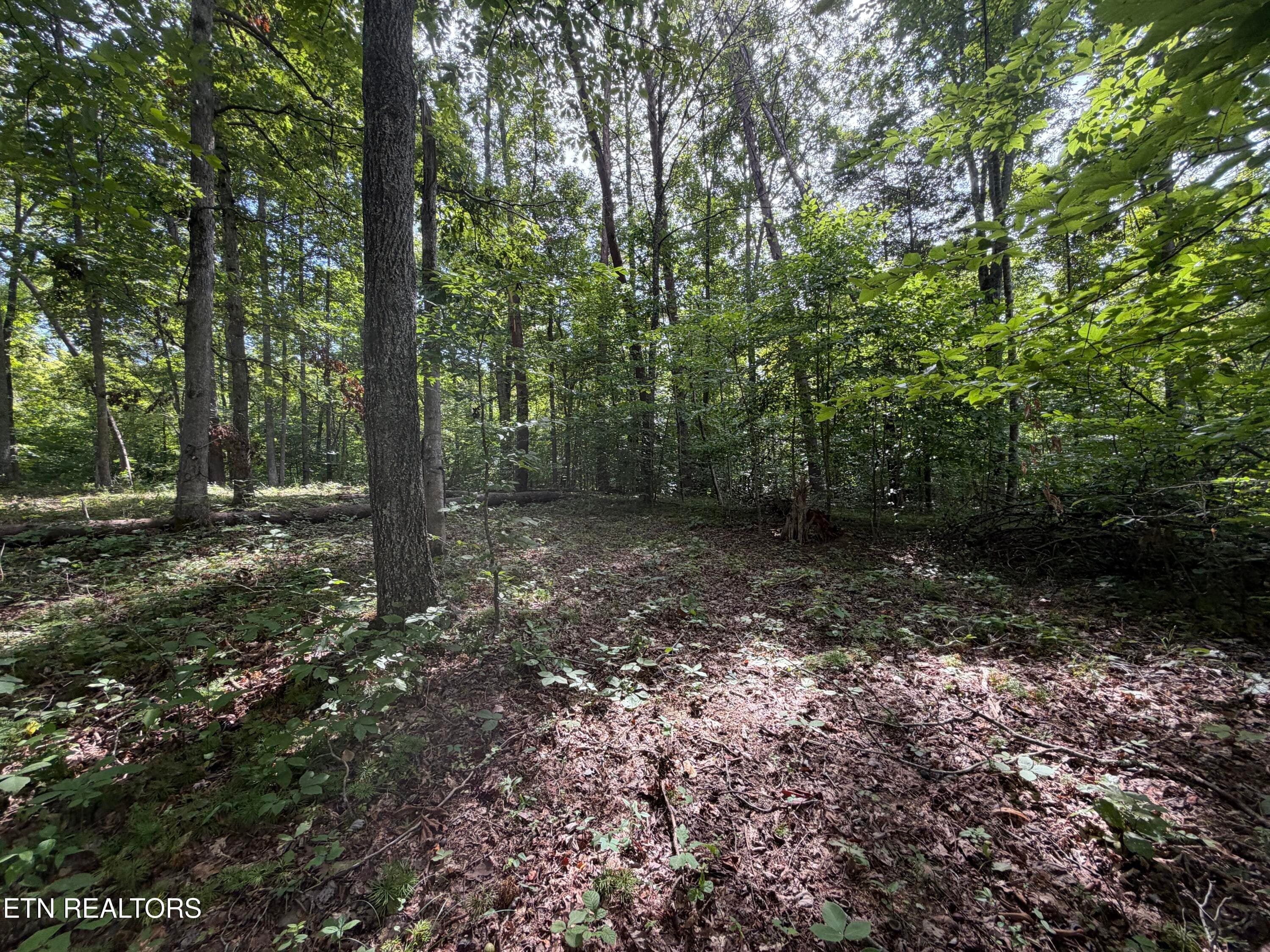 IMG_0427 - 2544 Hinds Creek Rd, Heiskell, TN 37754