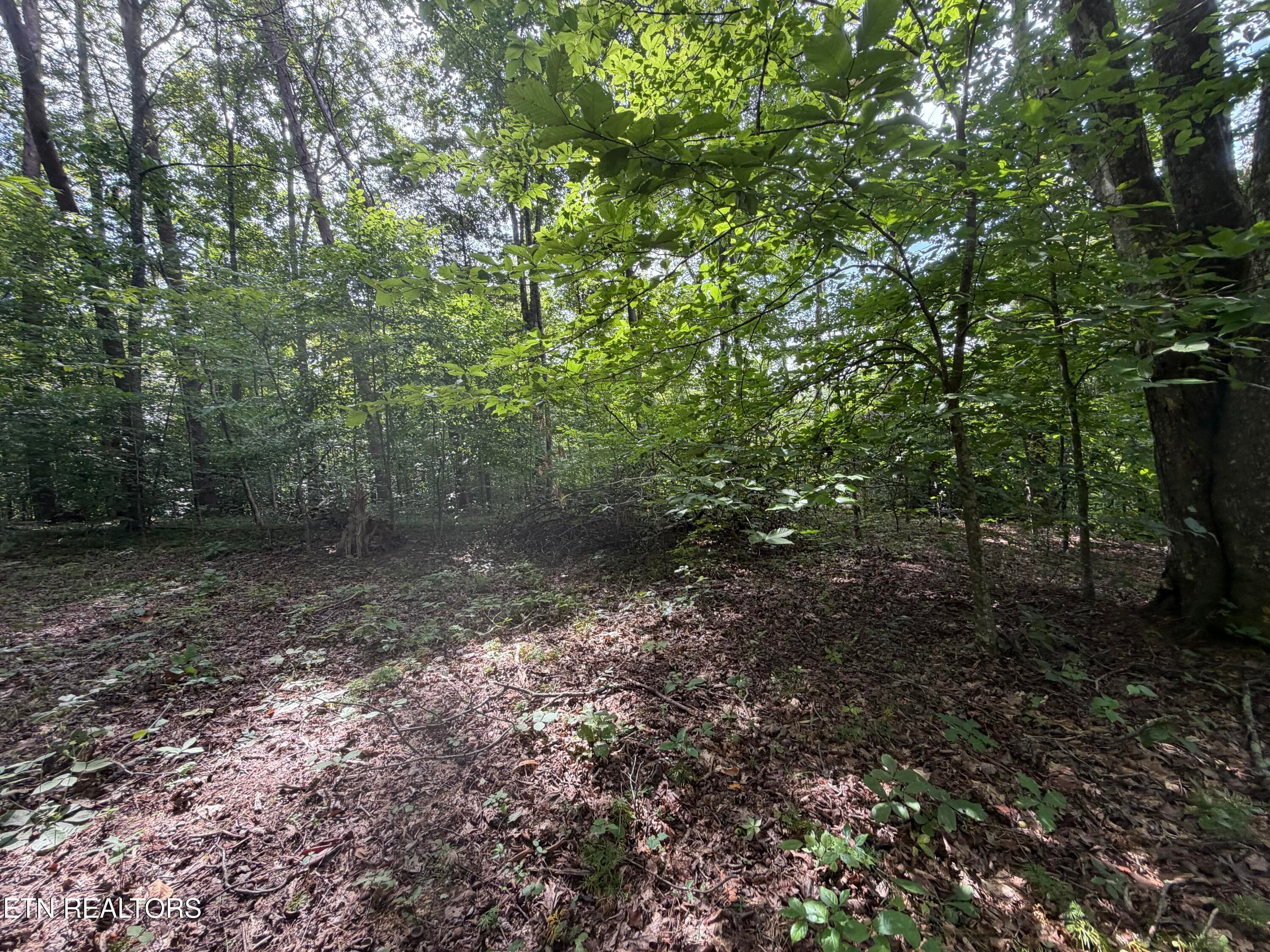 IMG_0426 - 2544 Hinds Creek Rd, Heiskell, TN 37754