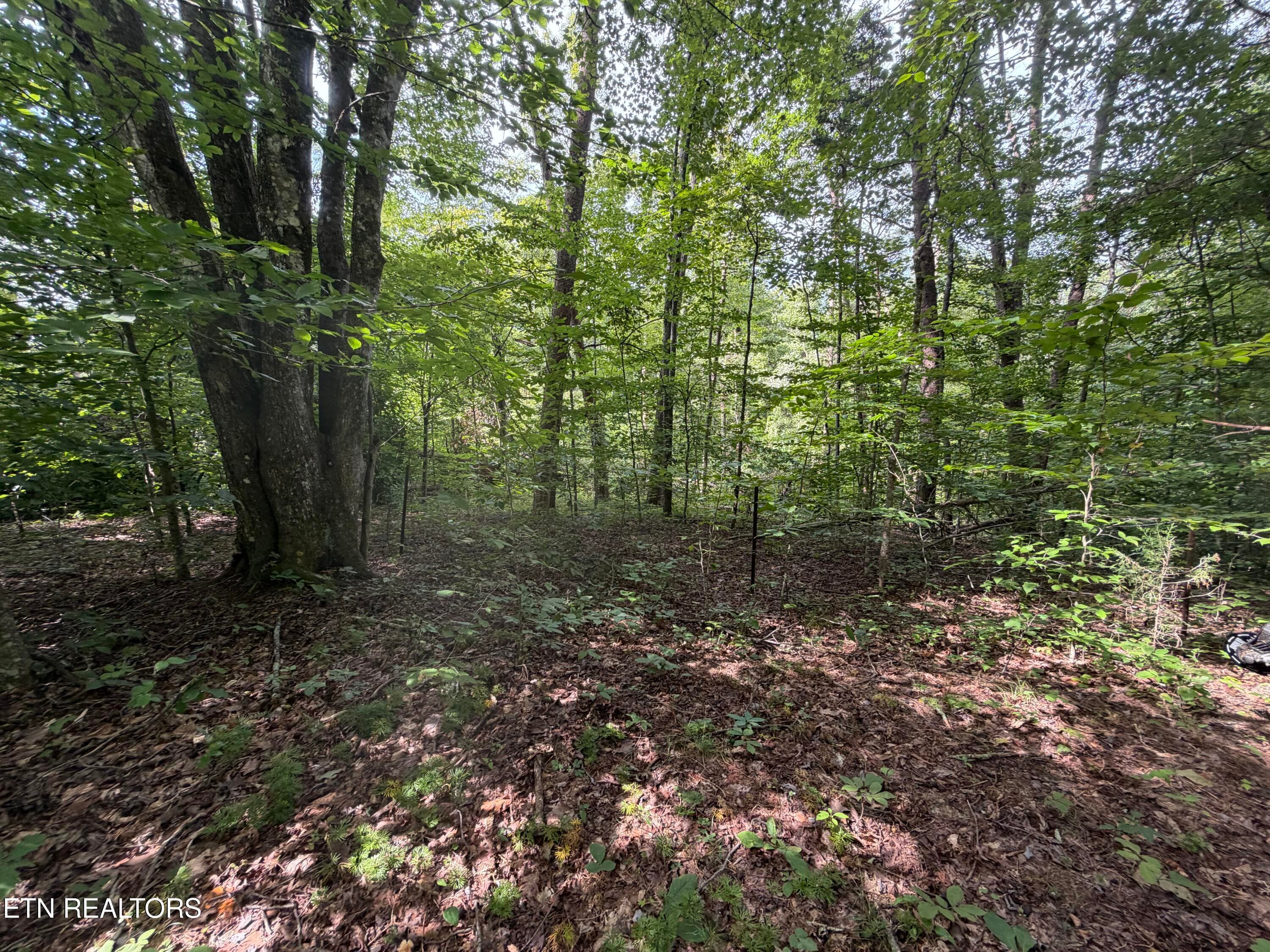 IMG_0425 - 2544 Hinds Creek Rd, Heiskell, TN 37754
