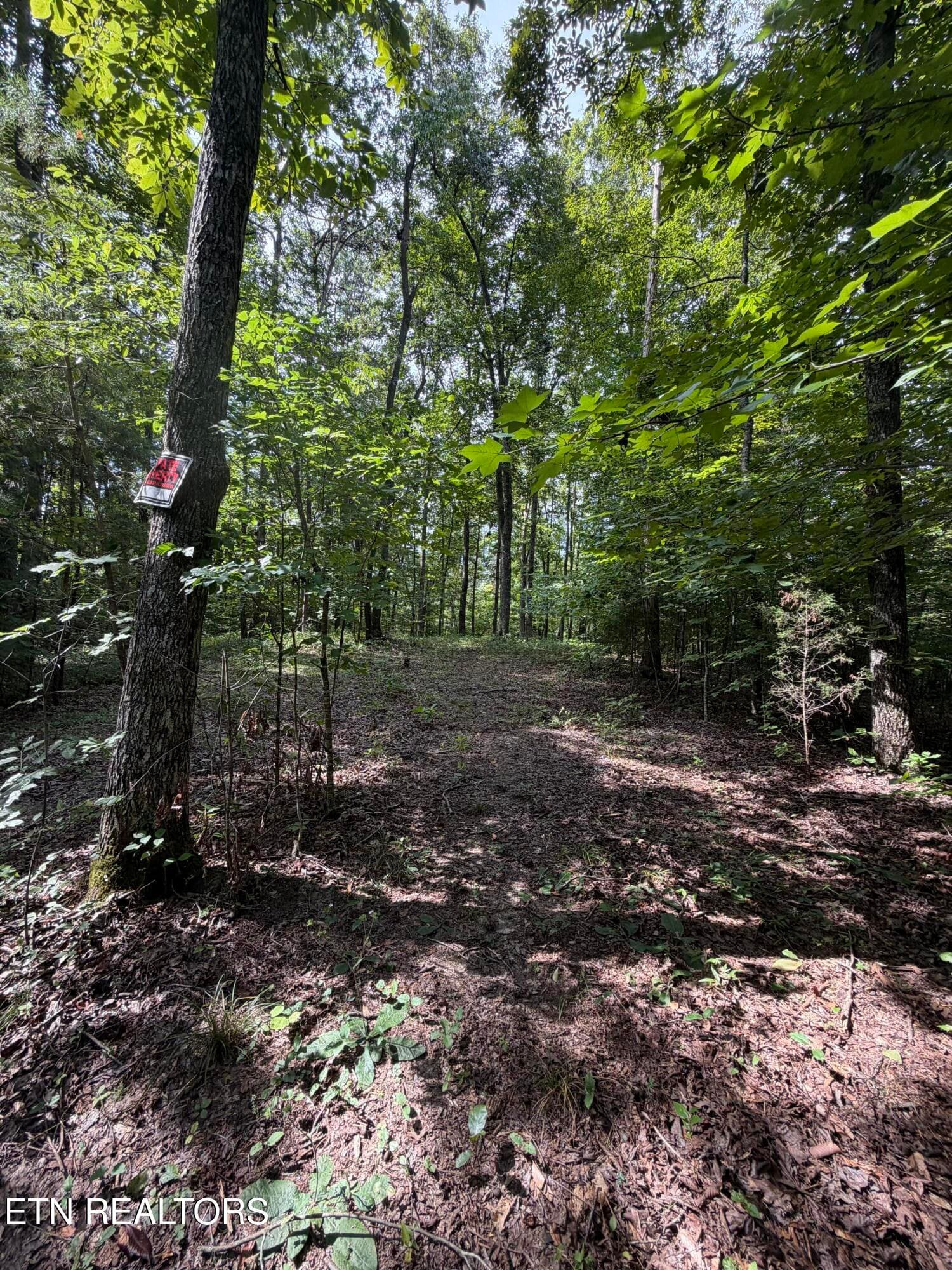 IMG_0437 - 2544 Hinds Creek Rd, Heiskell, TN 37754