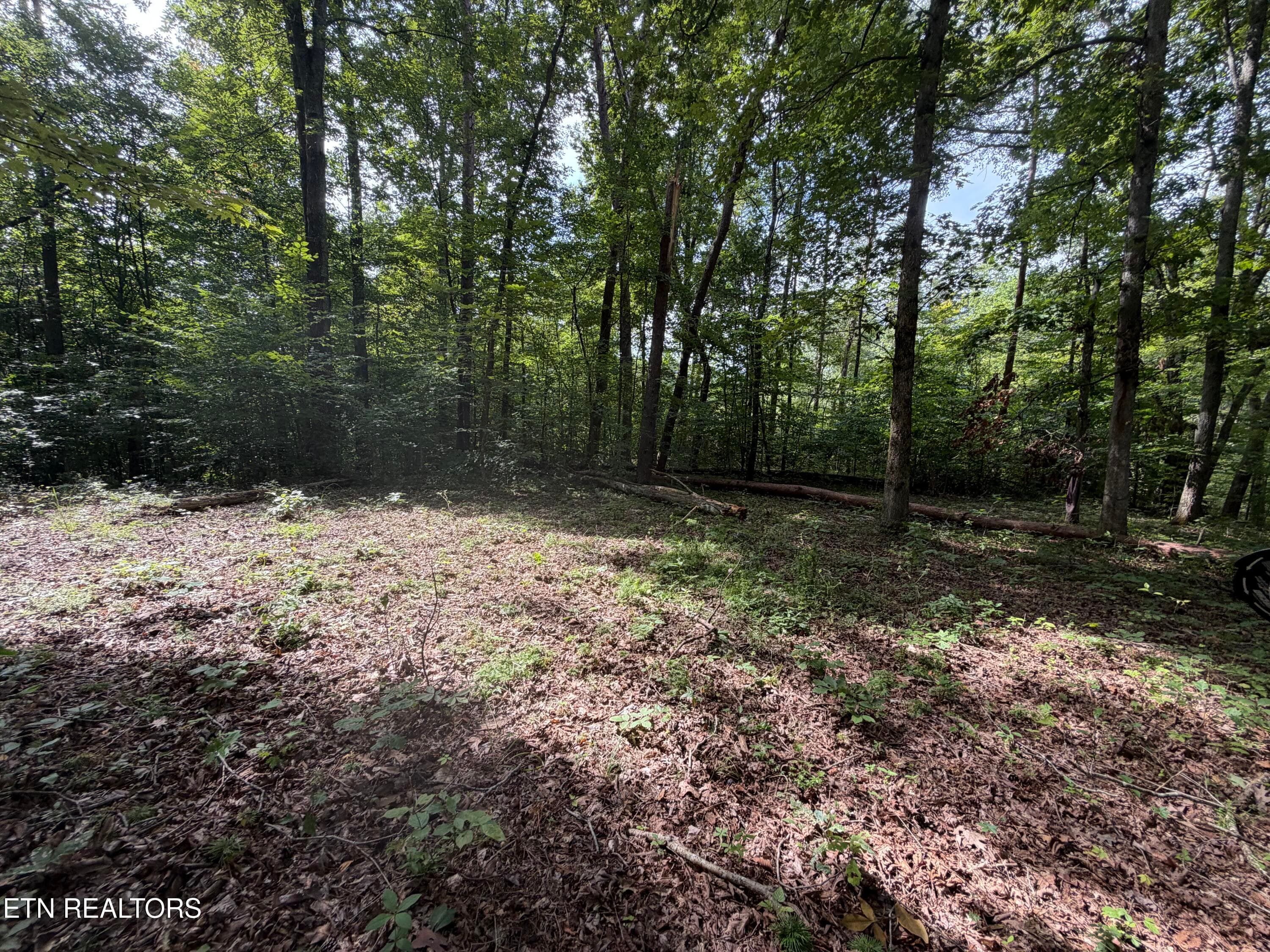 IMG_0421 - 2544 Hinds Creek Rd, Heiskell, TN 37754