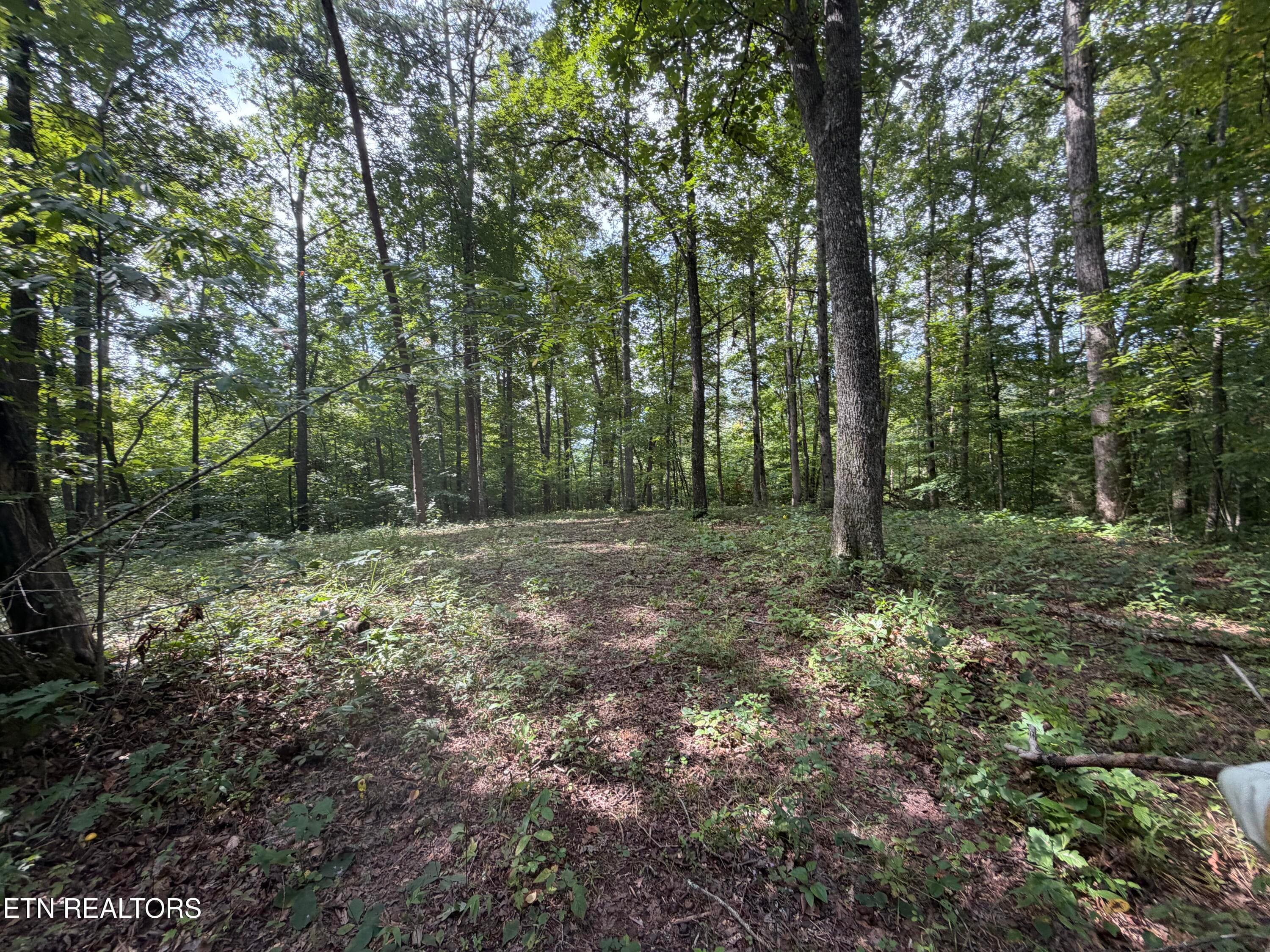 IMG_0418 - 2544 Hinds Creek Rd, Heiskell, TN 37754