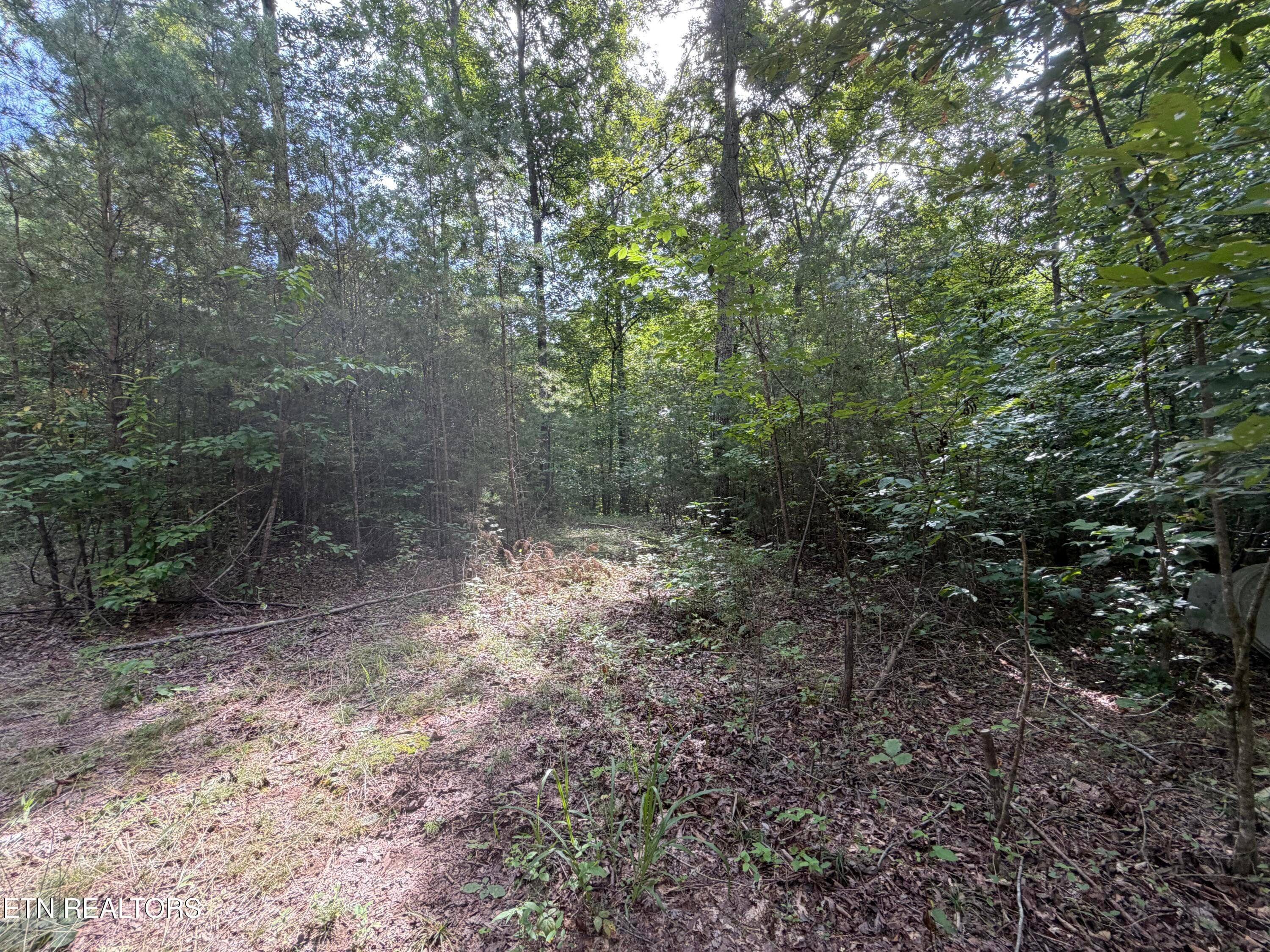 IMG_0417 - 2544 Hinds Creek Rd, Heiskell, TN 37754