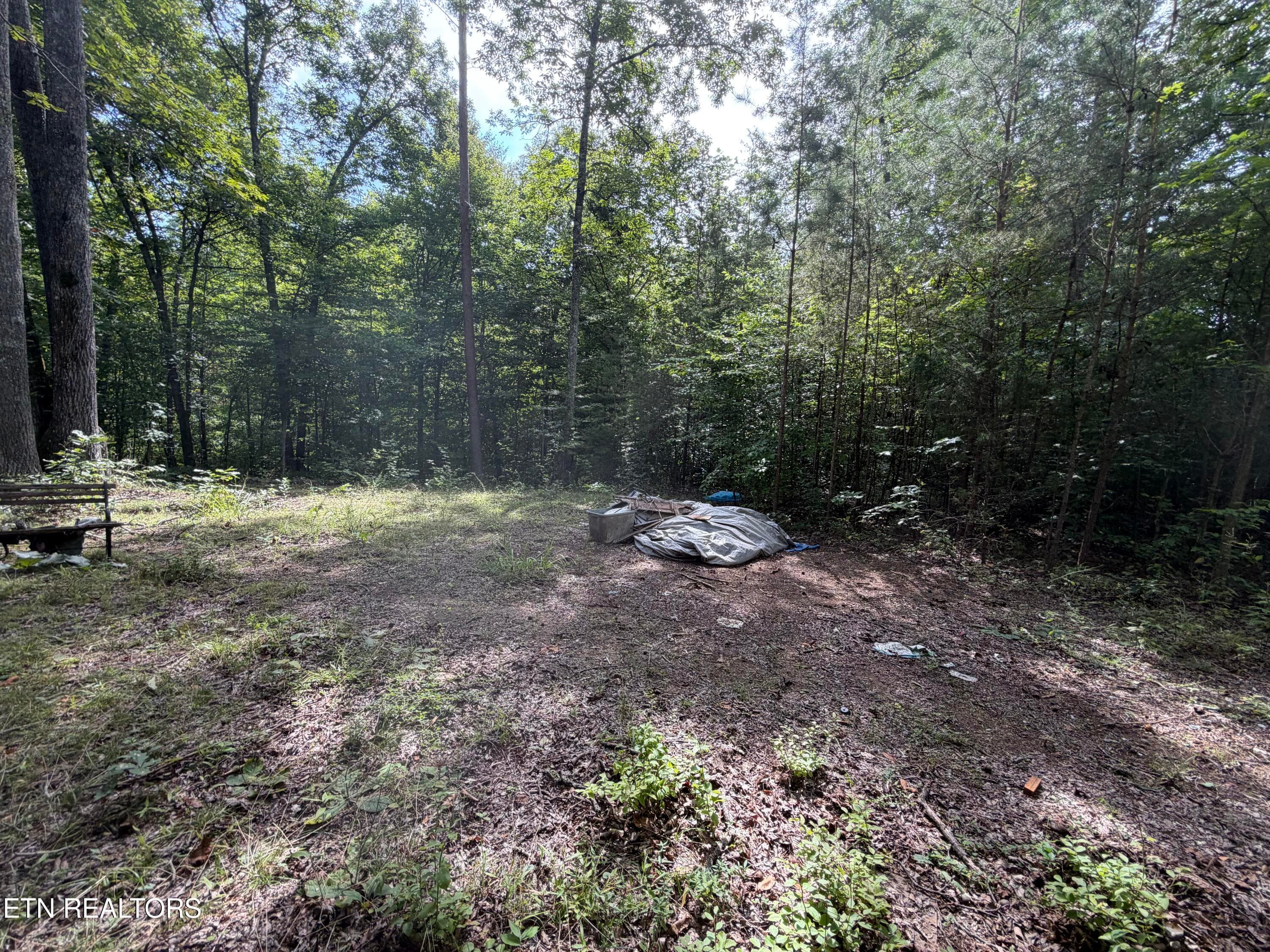 IMG_0414 - 2544 Hinds Creek Rd, Heiskell, TN 37754