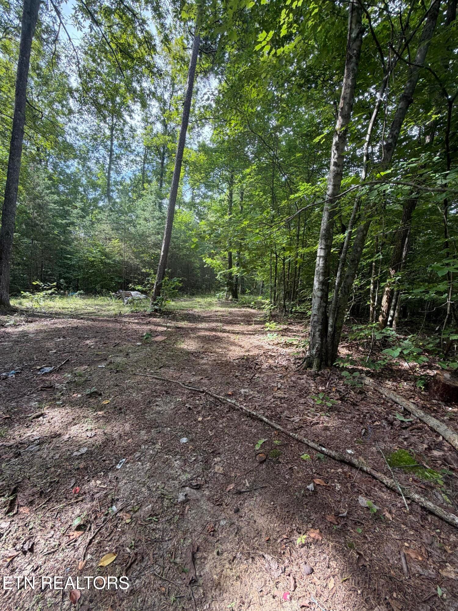 IMG_0413 - 2544 Hinds Creek Rd, Heiskell, TN 37754