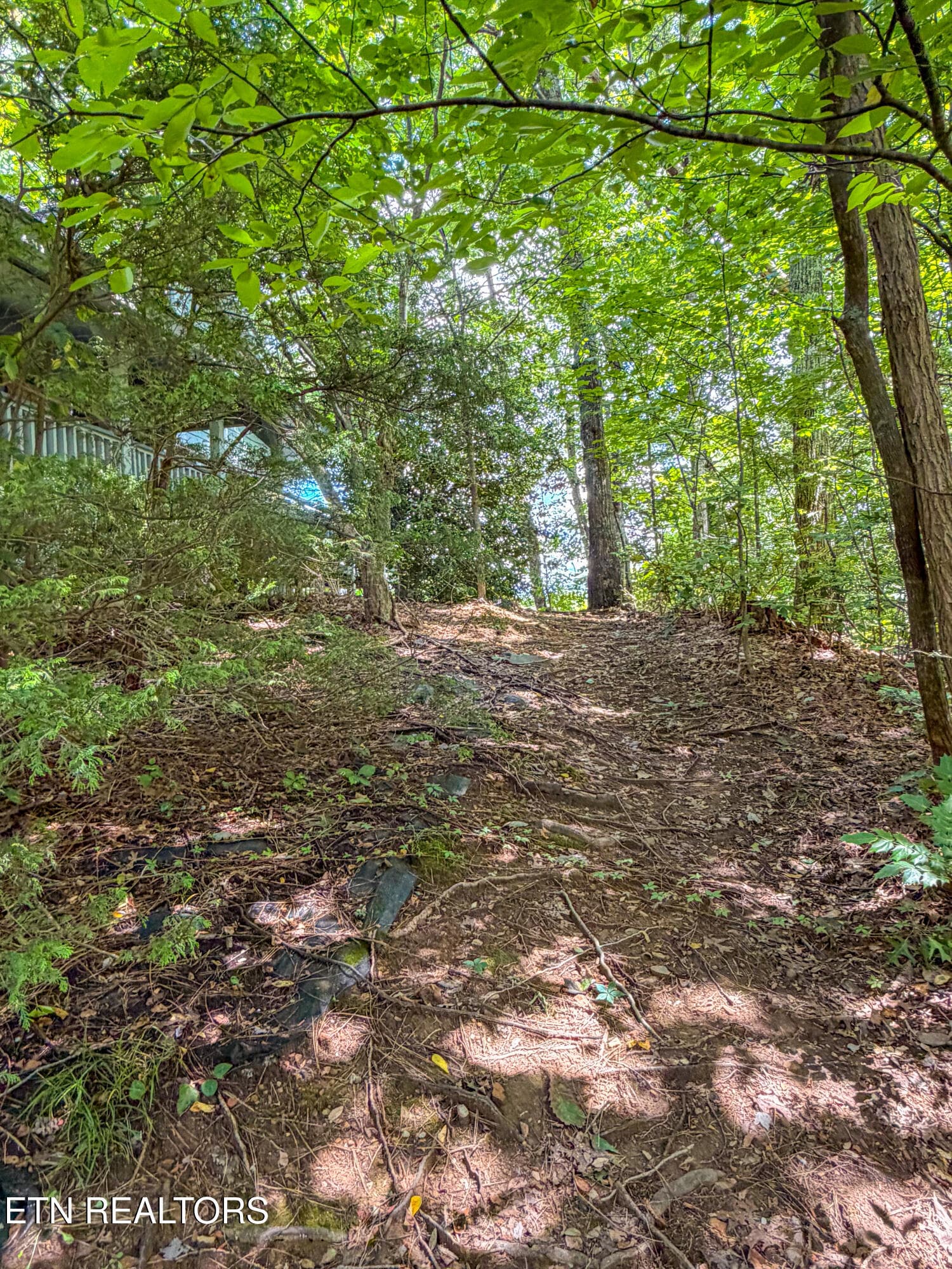 Untitled-17-2 - 440 Deer Path Lane, Gatlinburg, TN 37738, Gatlinburg