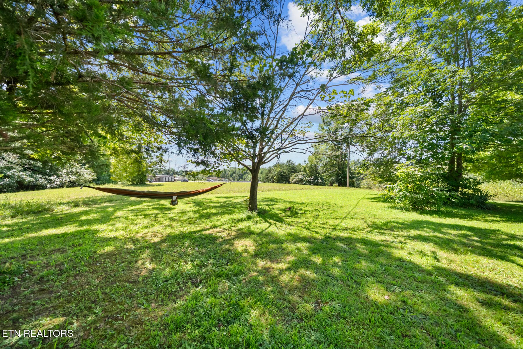 DSC09480 - 384 Woodlee St, Spencer, TN 38585
