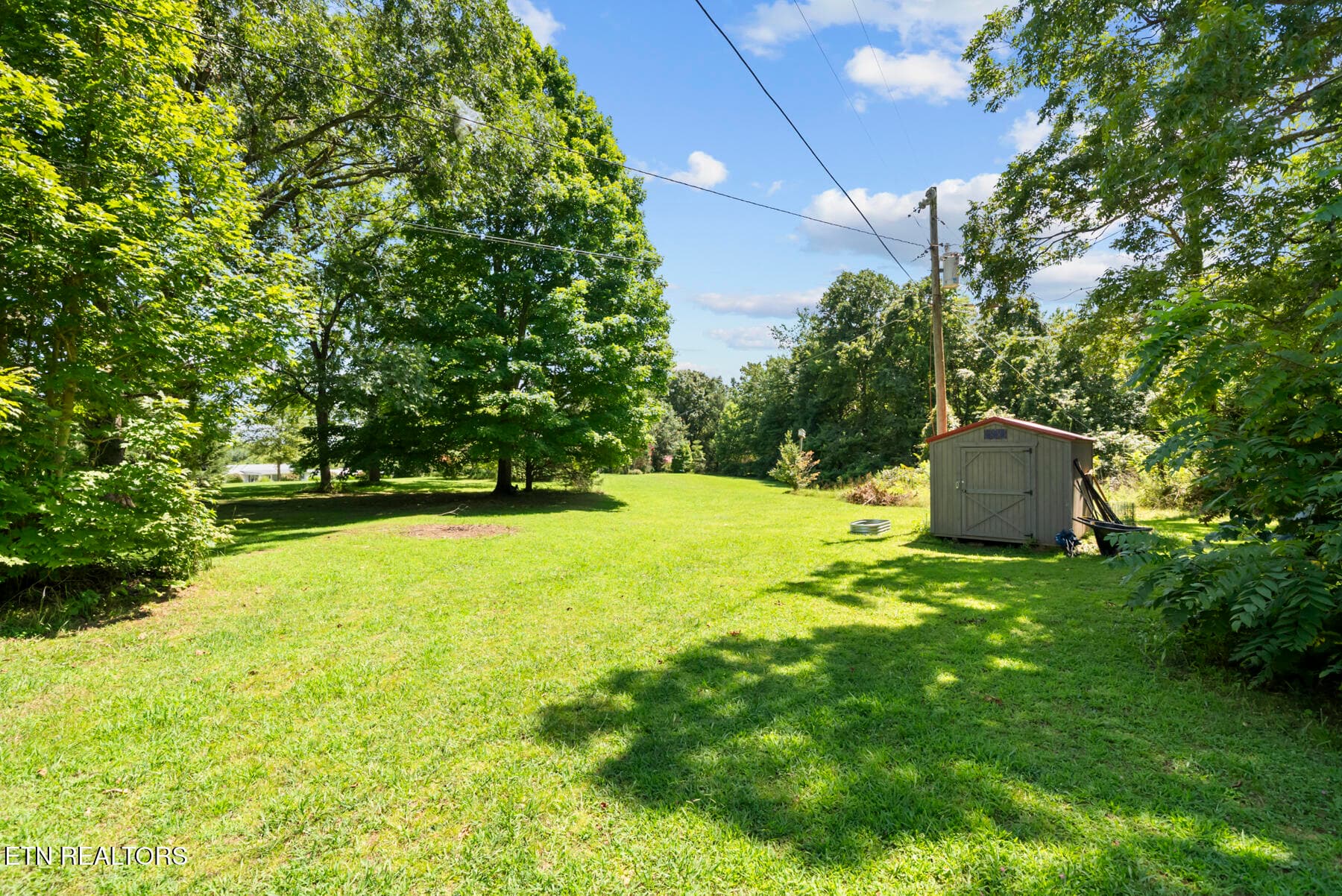 DSC09485 - 384 Woodlee St, Spencer, TN 38585