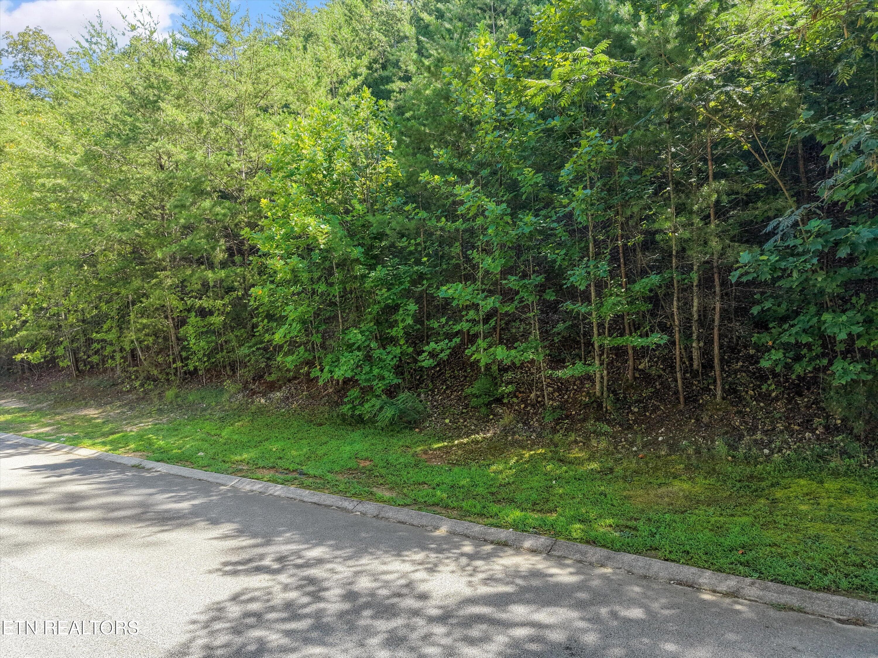 Lot 161 The Battery - Lot 161, The Battery, Kingston, TN 37763