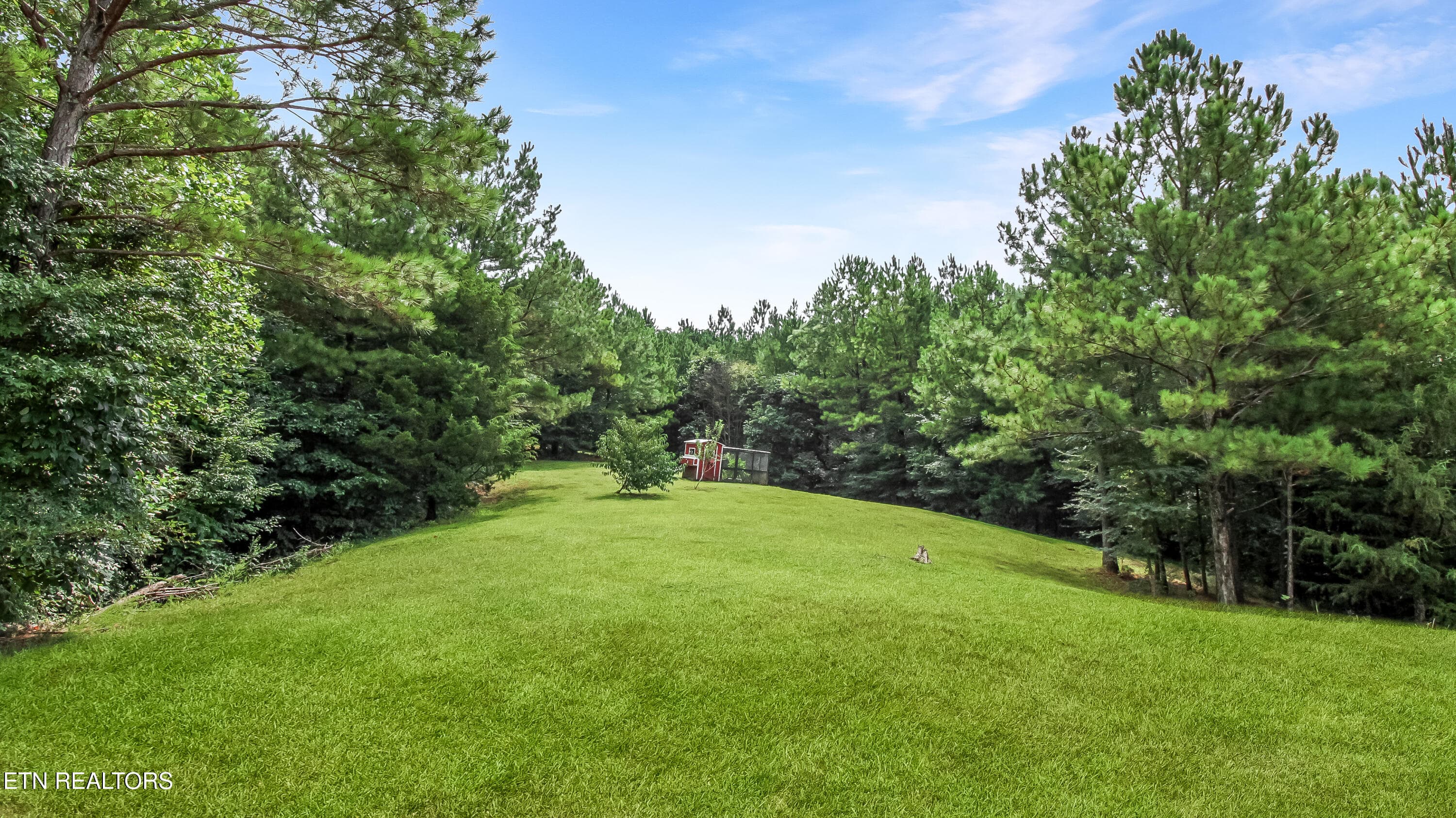 IMG_1534 - 332 Harris Rd, Old Fort, TN 37362