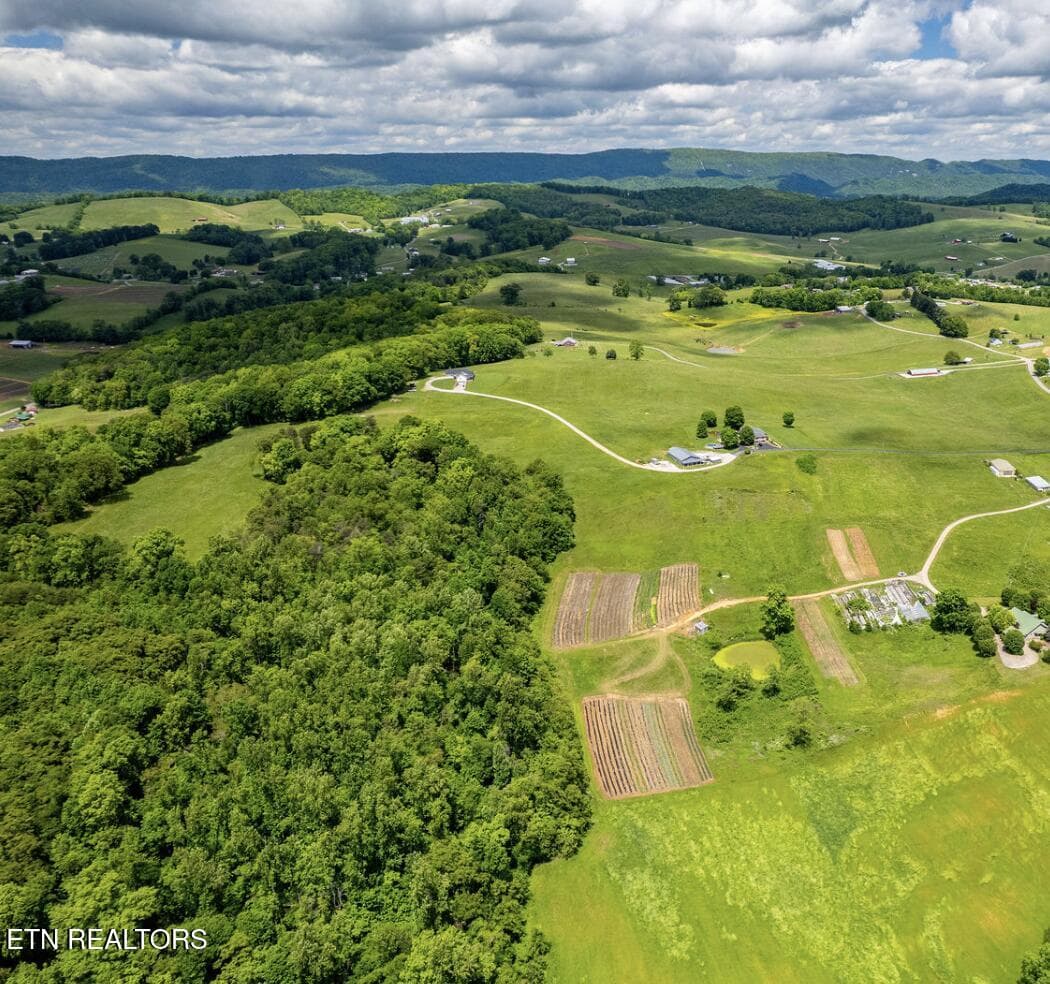Screenshot 2026-08-20 at 4.02.01PM - Greenlee Rd, Rutledge, TN 37861