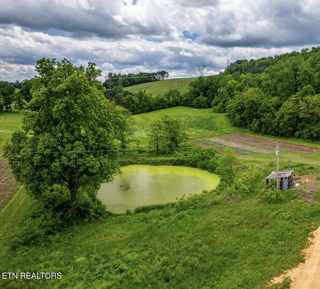 Screenshot 2026-08-20 at 4.03.02PM - Greenlee Rd, Rutledge, TN 37861