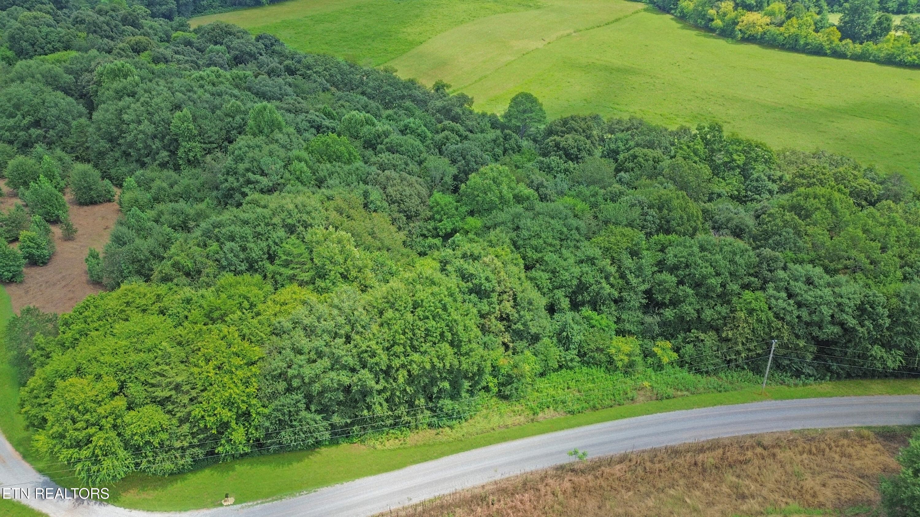 DJI_0726 - 181 Rivercrest Lane, Benton, TN 37307