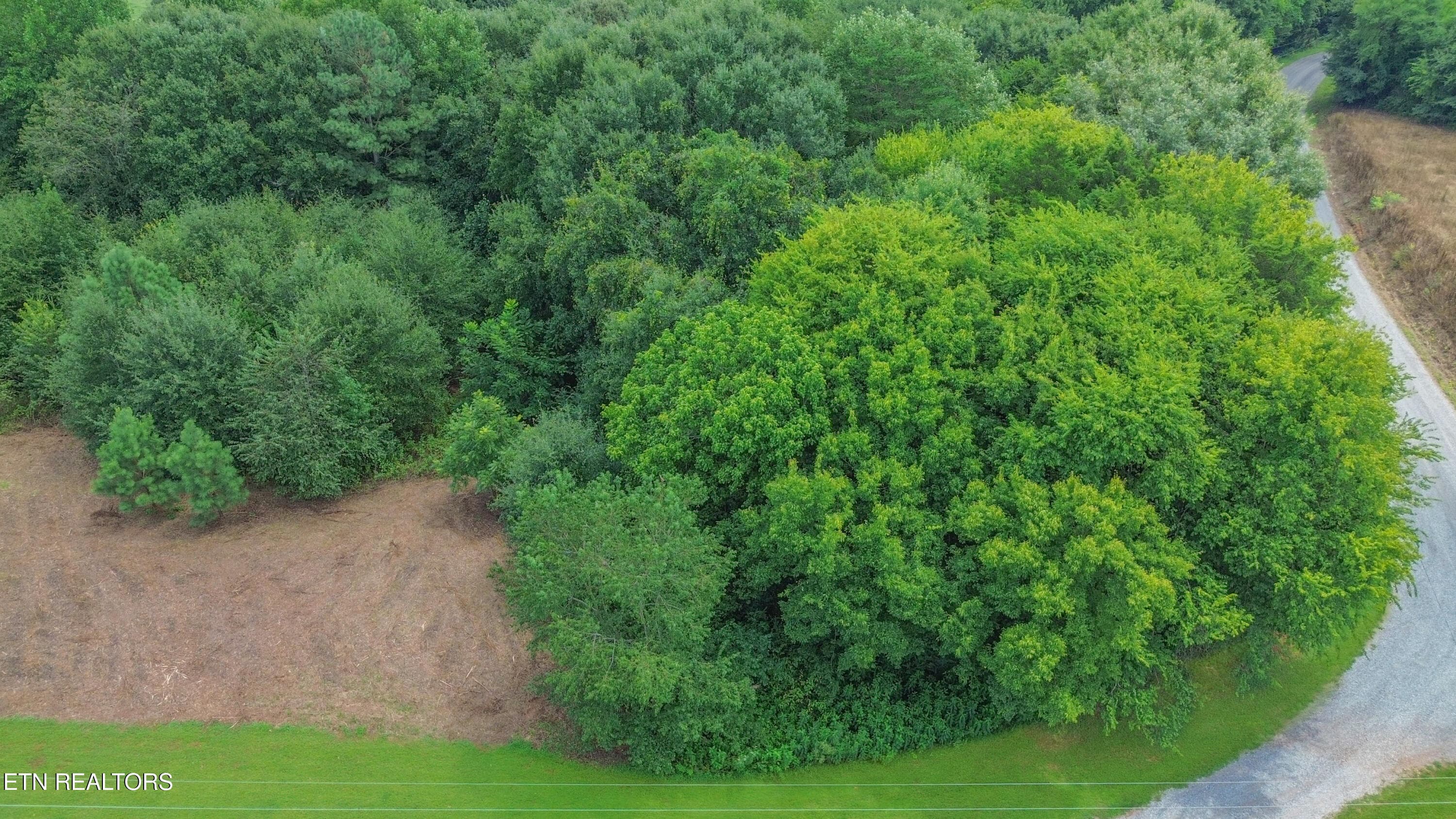 DJI_0728 - 181 Rivercrest Lane, Benton, TN 37307