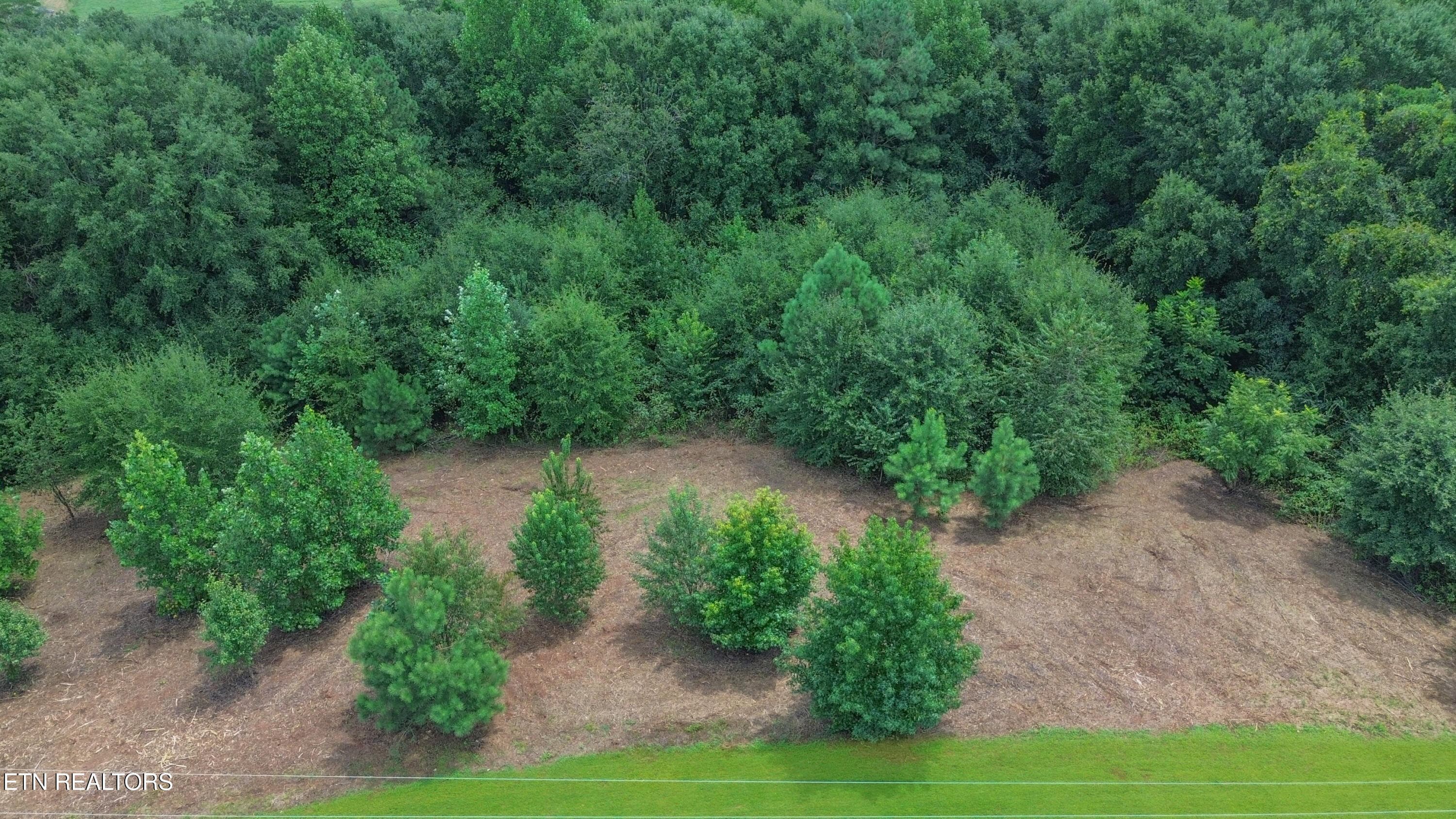 DJI_0729 - 181 Rivercrest Lane, Benton, TN 37307