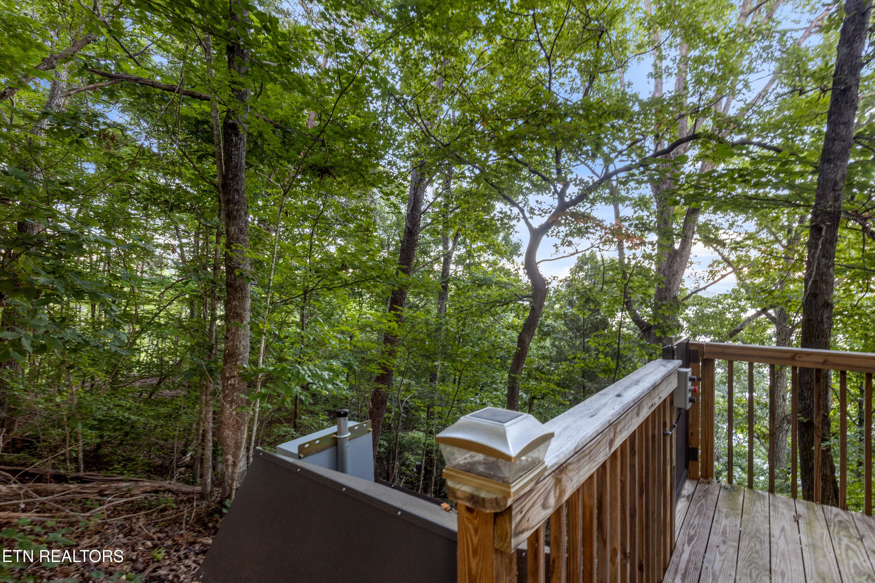 LakesideL-28 - 260 Lakeside Lodge Lane, Spring City, TN 37381