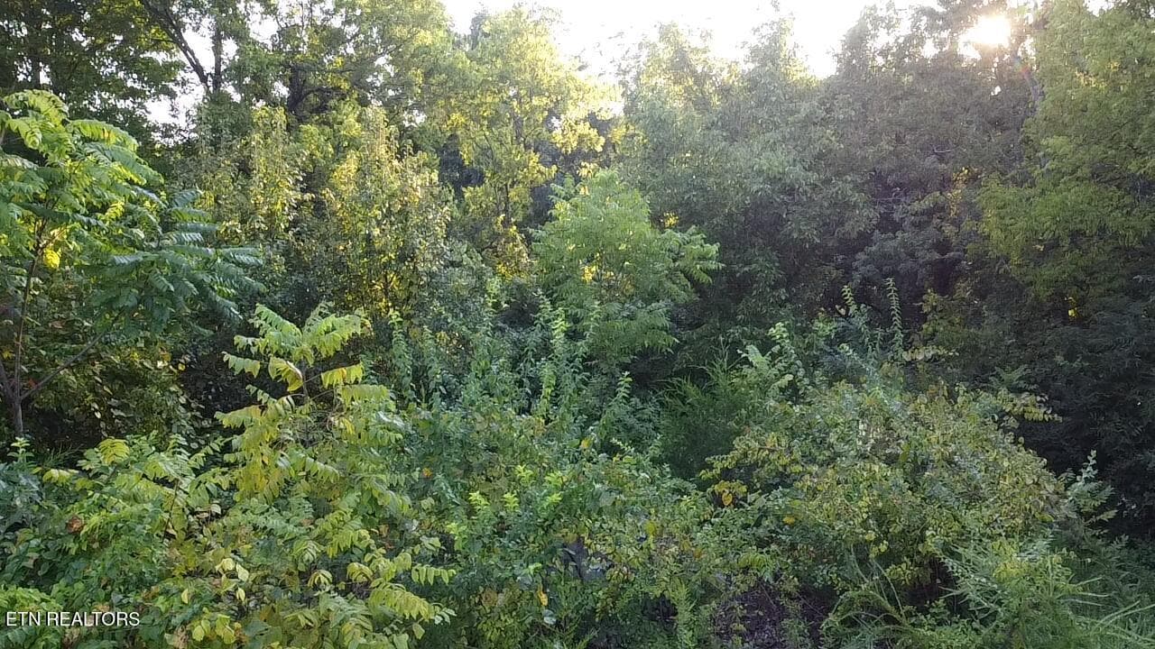 2026-08-19-19-32-08-256 - 141 Blazer St, Newport, TN 37821