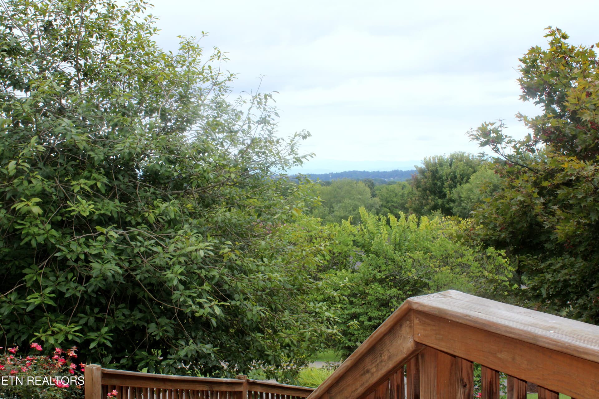 Mountain View from Front Porch - 1211 Rockley Rd, Knoxville, TN 37932