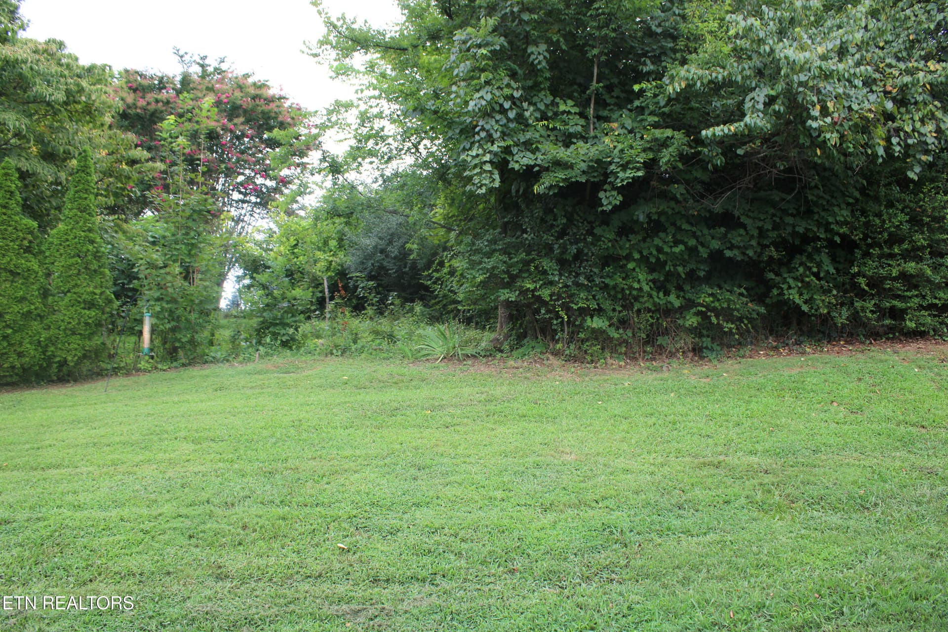Private Backyard - 1211 Rockley Rd, Knoxville, TN 37932