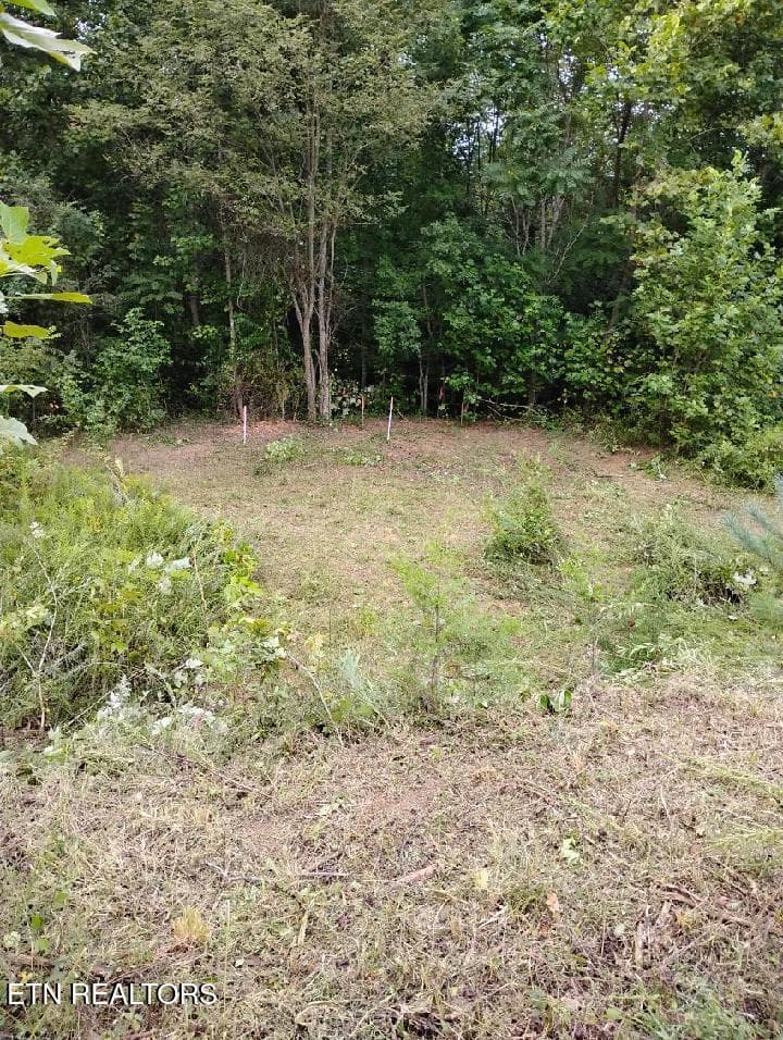 image000000 (3) (1) - 129 Lester Ledbetter Lane, Hilham, TN 38568