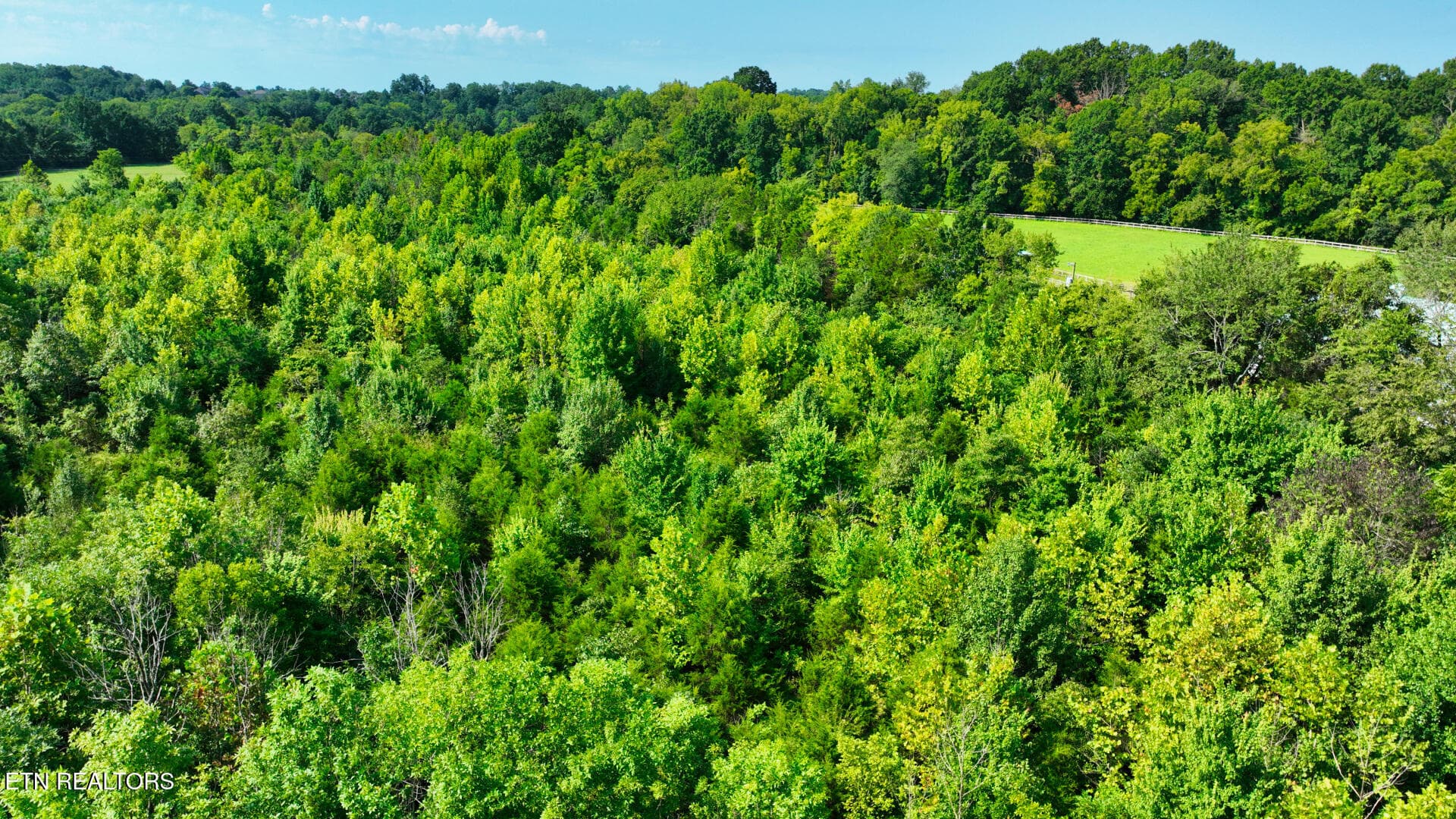 DJI_0388 - 7725 Lot 2 Nolensville Rd, Nolensville, TN 37135