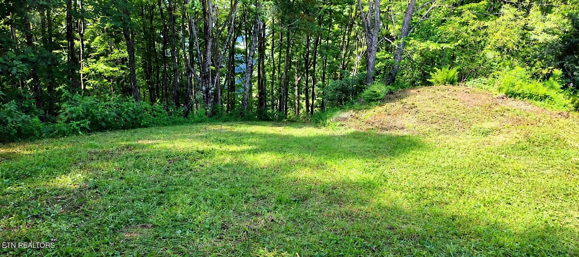 183 Persimmon Lane, Pioneer, TN 37847