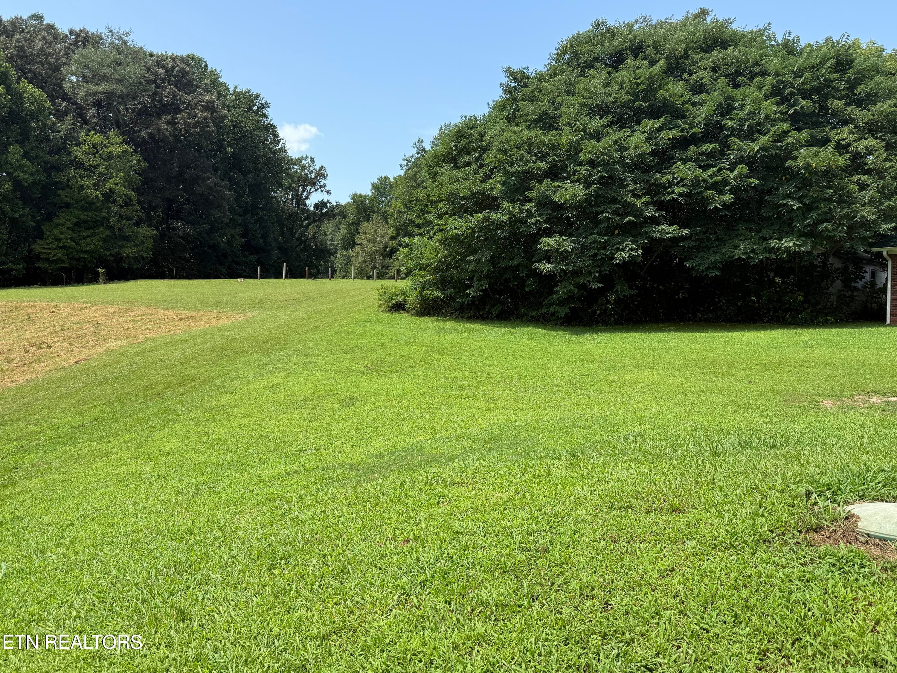 IMG_0281 - 807 New Clear Branch Rd, Rocky Top, TN 37769