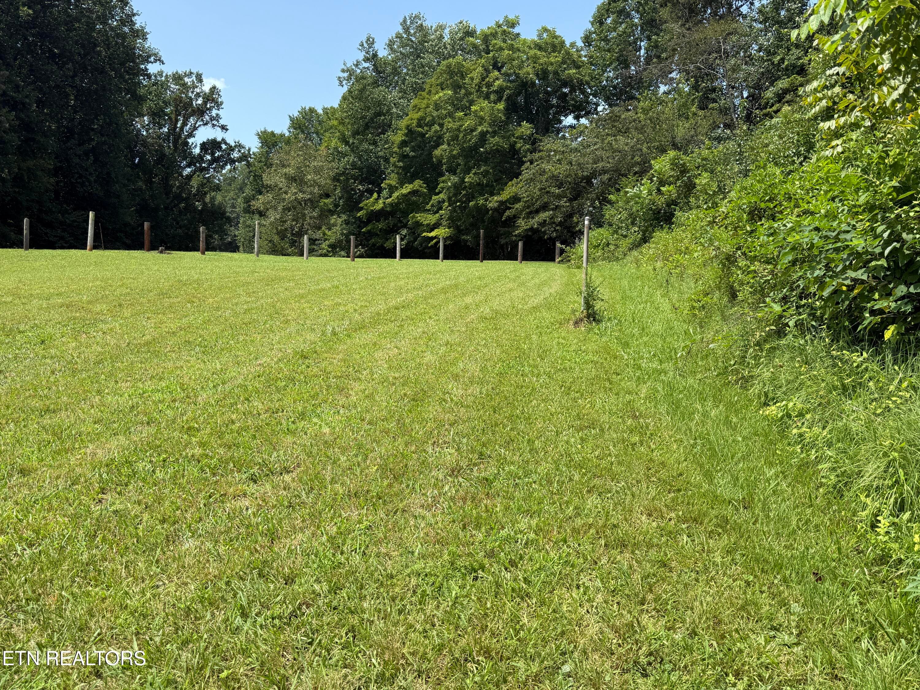 IMG_0284 - 807 New Clear Branch Rd, Rocky Top, TN 37769