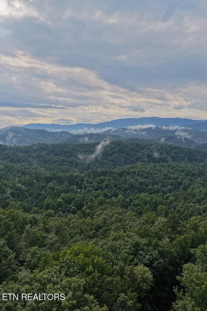 Lot 44 Shady Oaks Way, Sevierville, TN 37876