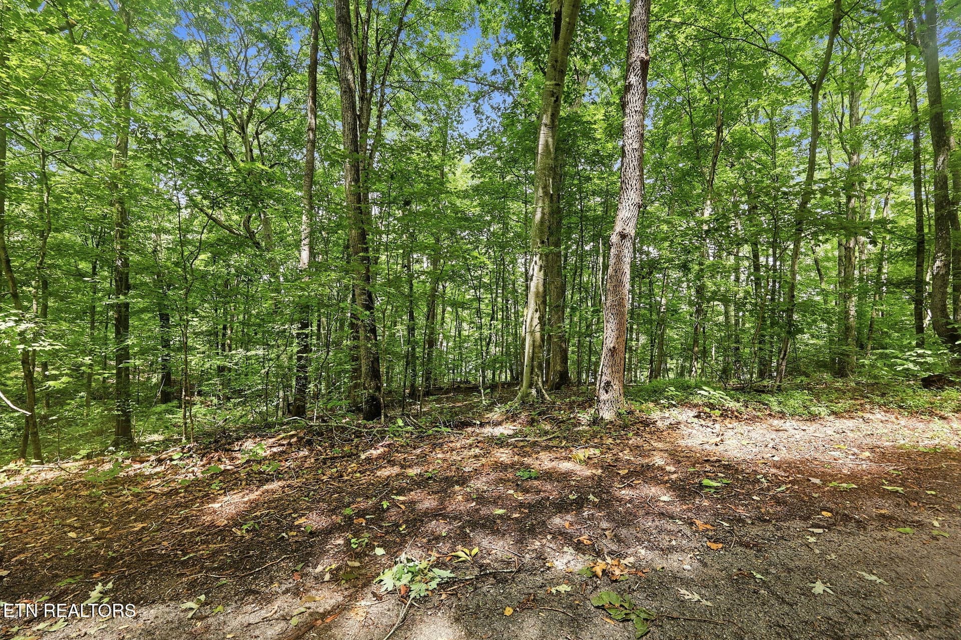 7-web-or-mls-007_TumblingRun - Lot 17 Tumbling Run Estates, Maynardville, TN 37807
