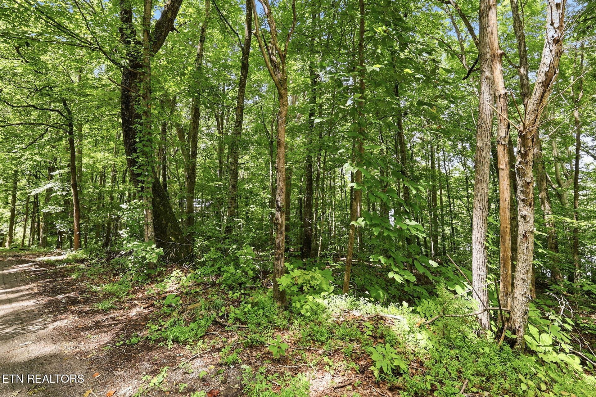 8-web-or-mls-008_TumblingRun - Lot 17 Tumbling Run Estates, Maynardville, TN 37807