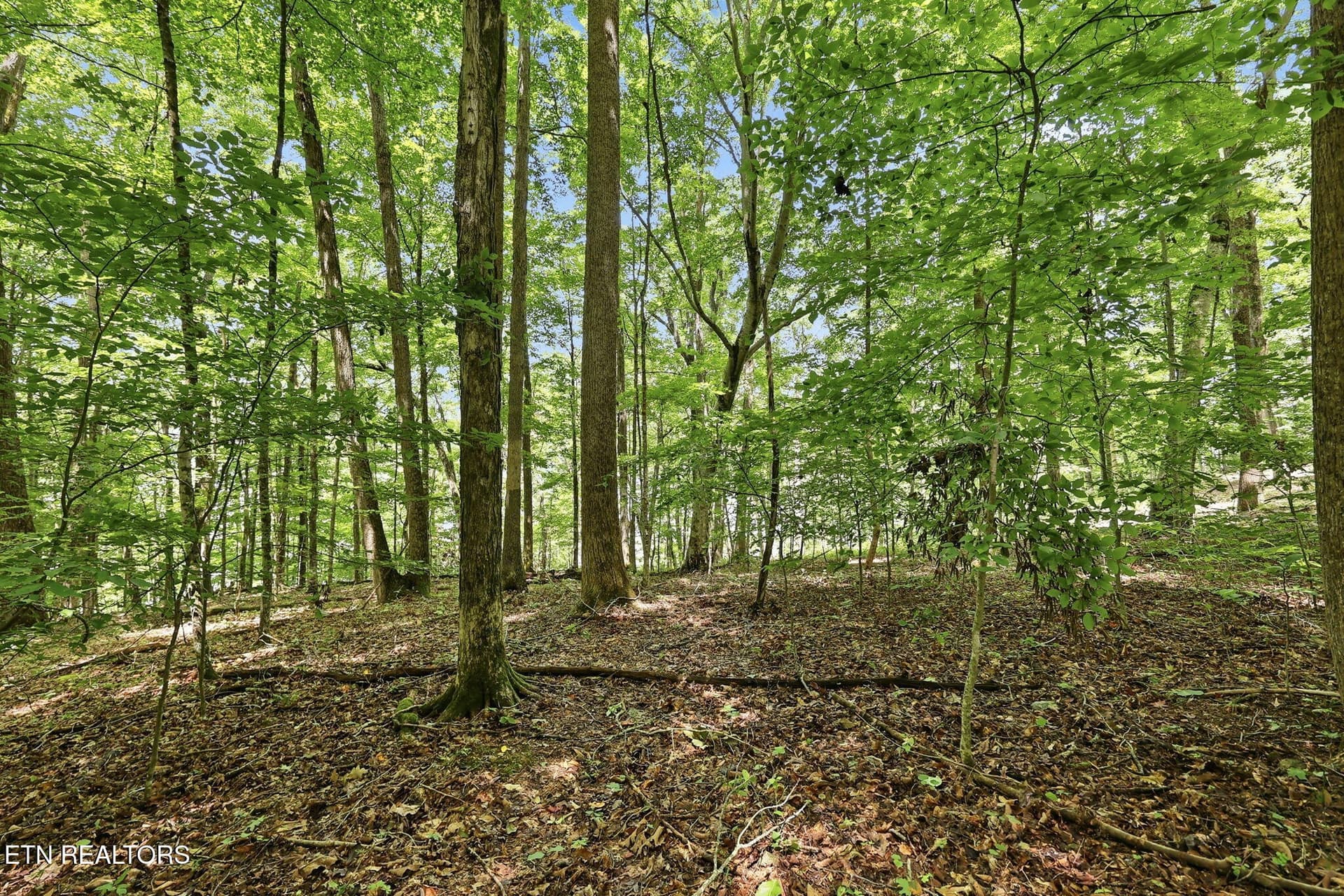 10-web-or-mls-010_TumblingRun - Lot 17 Tumbling Run Estates, Maynardville, TN 37807