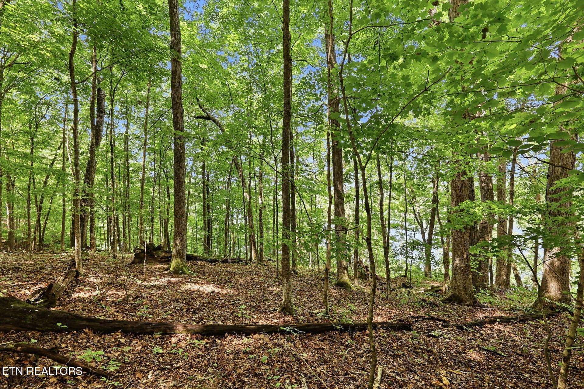 12-web-or-mls-012_TumblingRun - Lot 17 Tumbling Run Estates, Maynardville, TN 37807