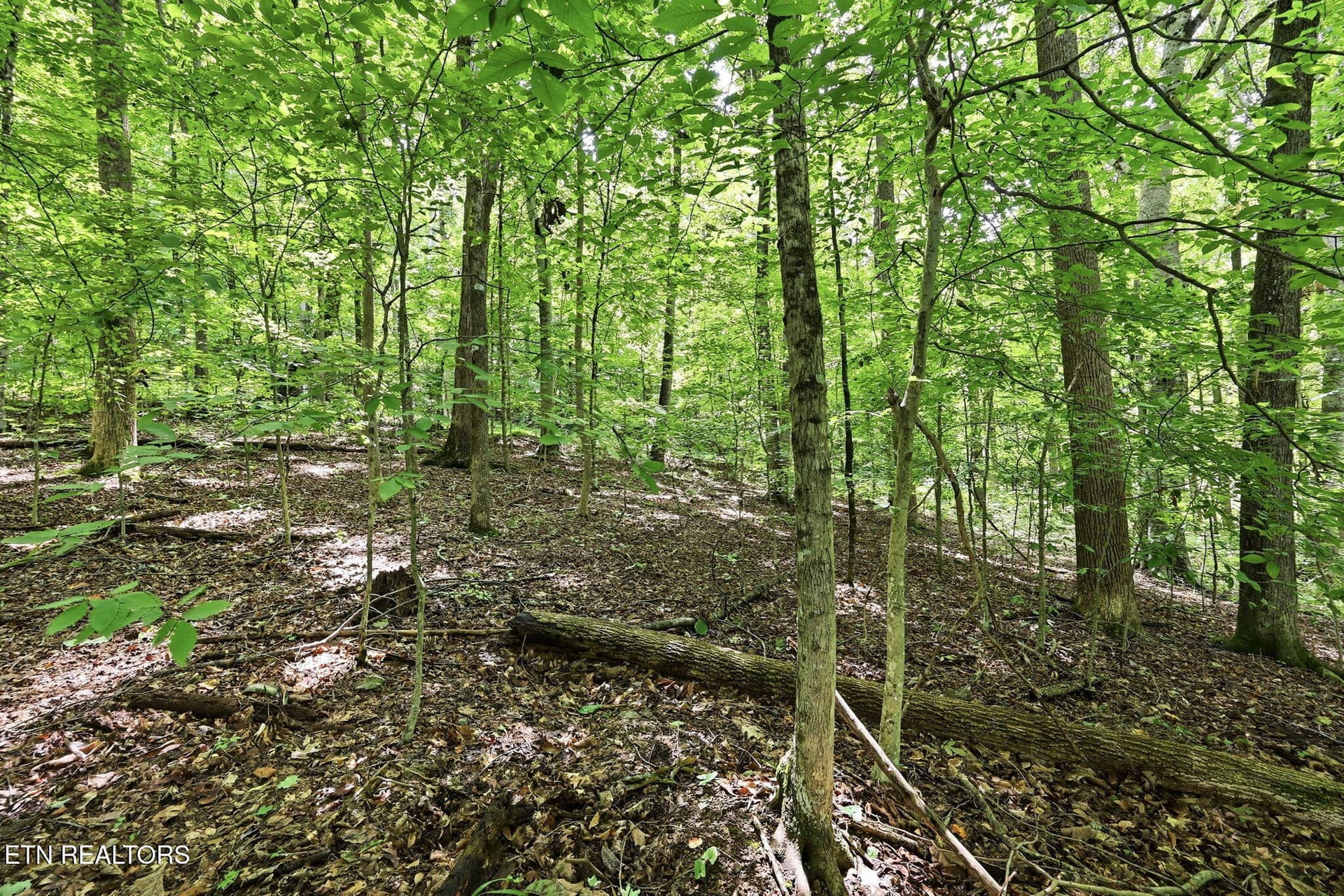 15-web-or-mls-015_TumblingRun - Lot 17 Tumbling Run Estates, Maynardville, TN 37807