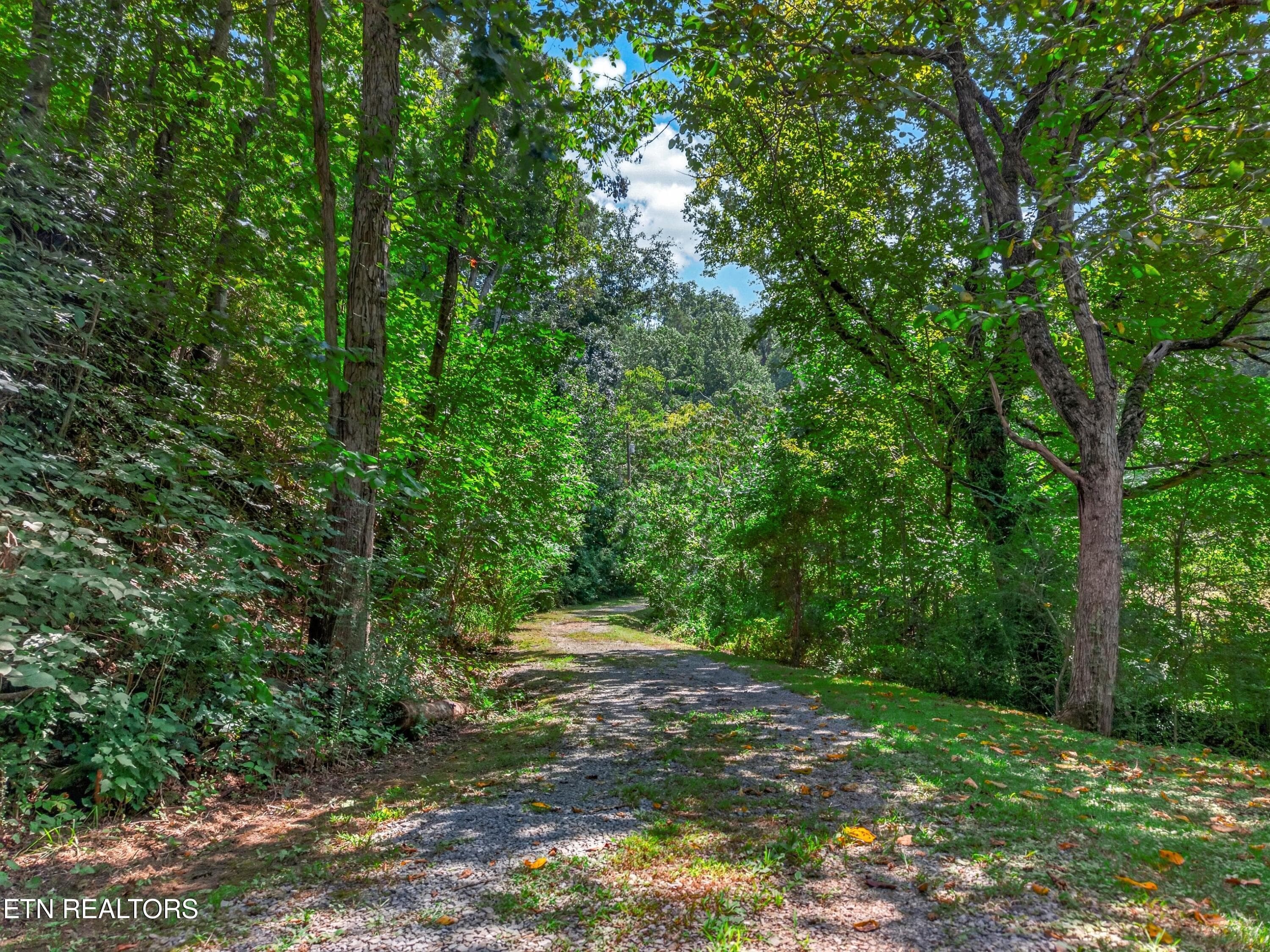 037-264BeechBranchRoad-Gatlinburg-TN-377 - 264 Beech Branch Rd, Gatlinburg, TN 37738, Gatlinburg