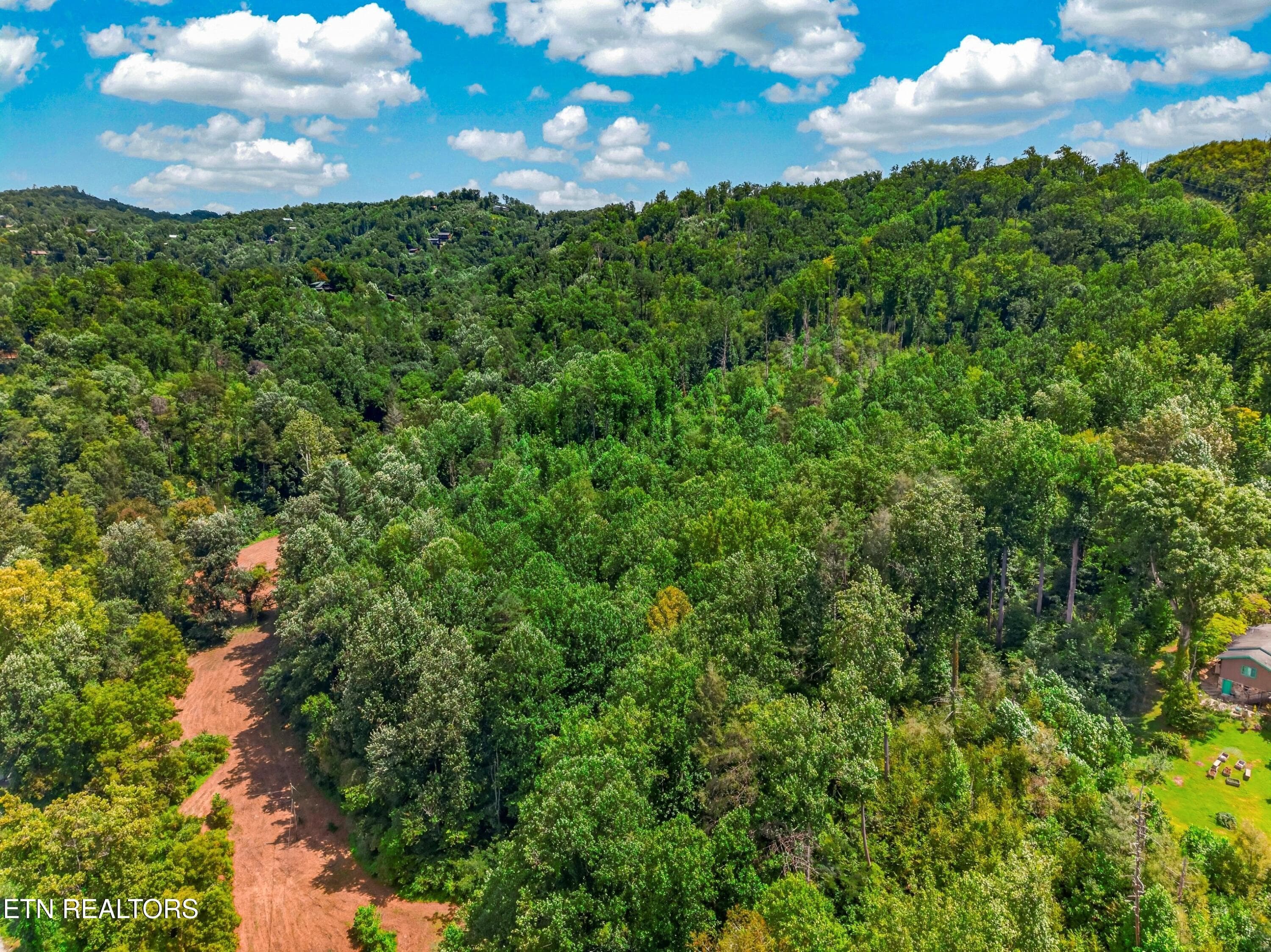 046-264BeechBranchRoad-Gatlinburg-TN-377 - 264 Beech Branch Rd, Gatlinburg, TN 37738, Gatlinburg